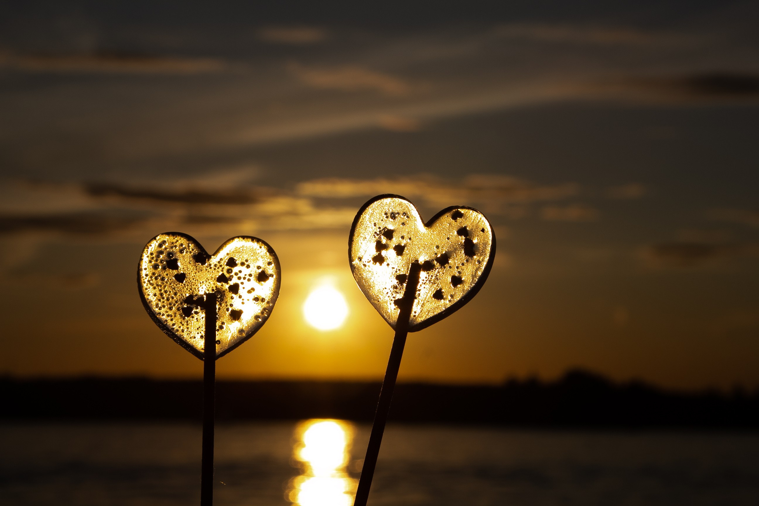 Love Story. Фотограф Анастасия Апархова