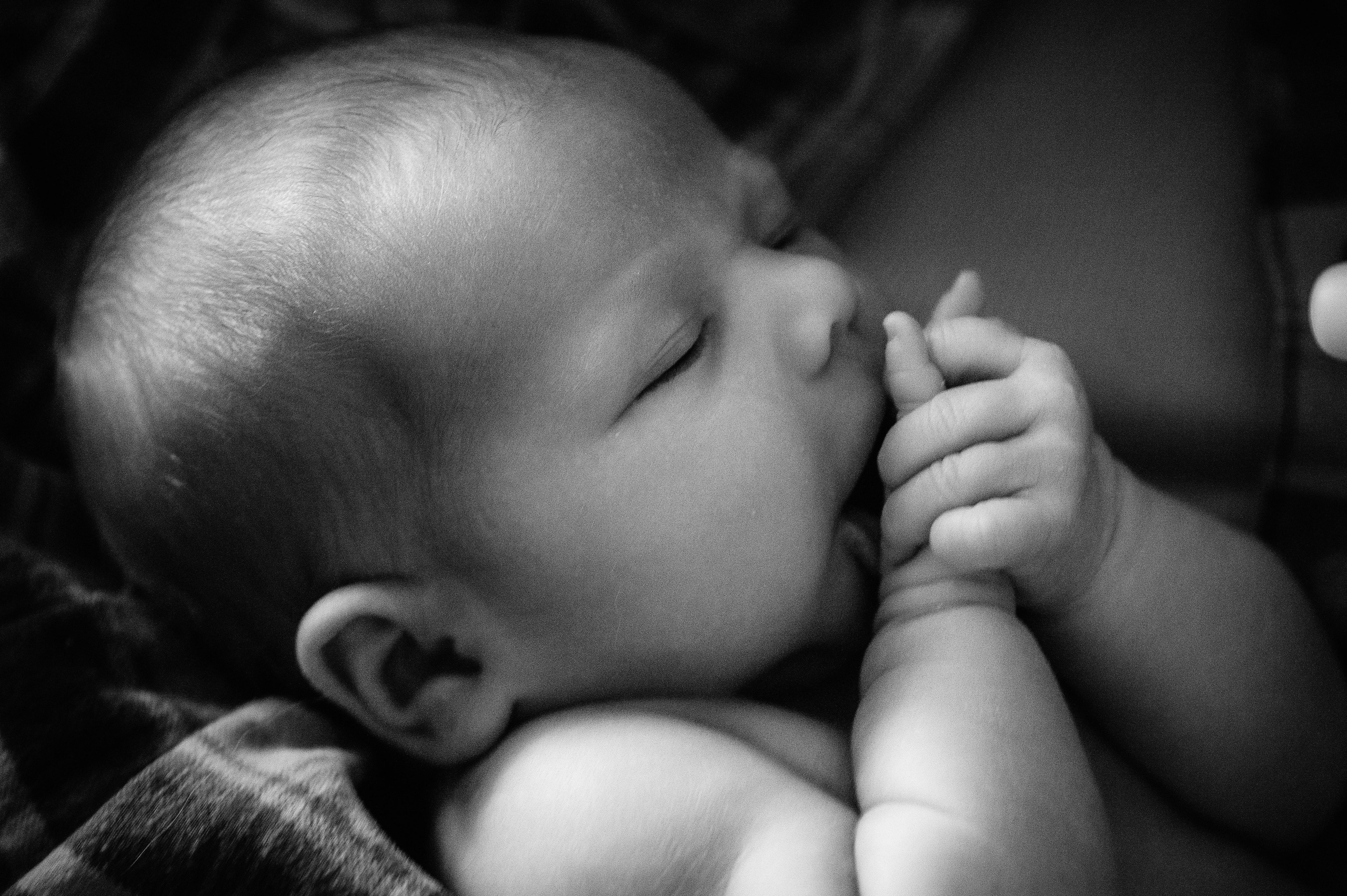 Лизавета, Никита и Мирослава. Фотограф беременности и семьи, домашние съемки, Ньюборн