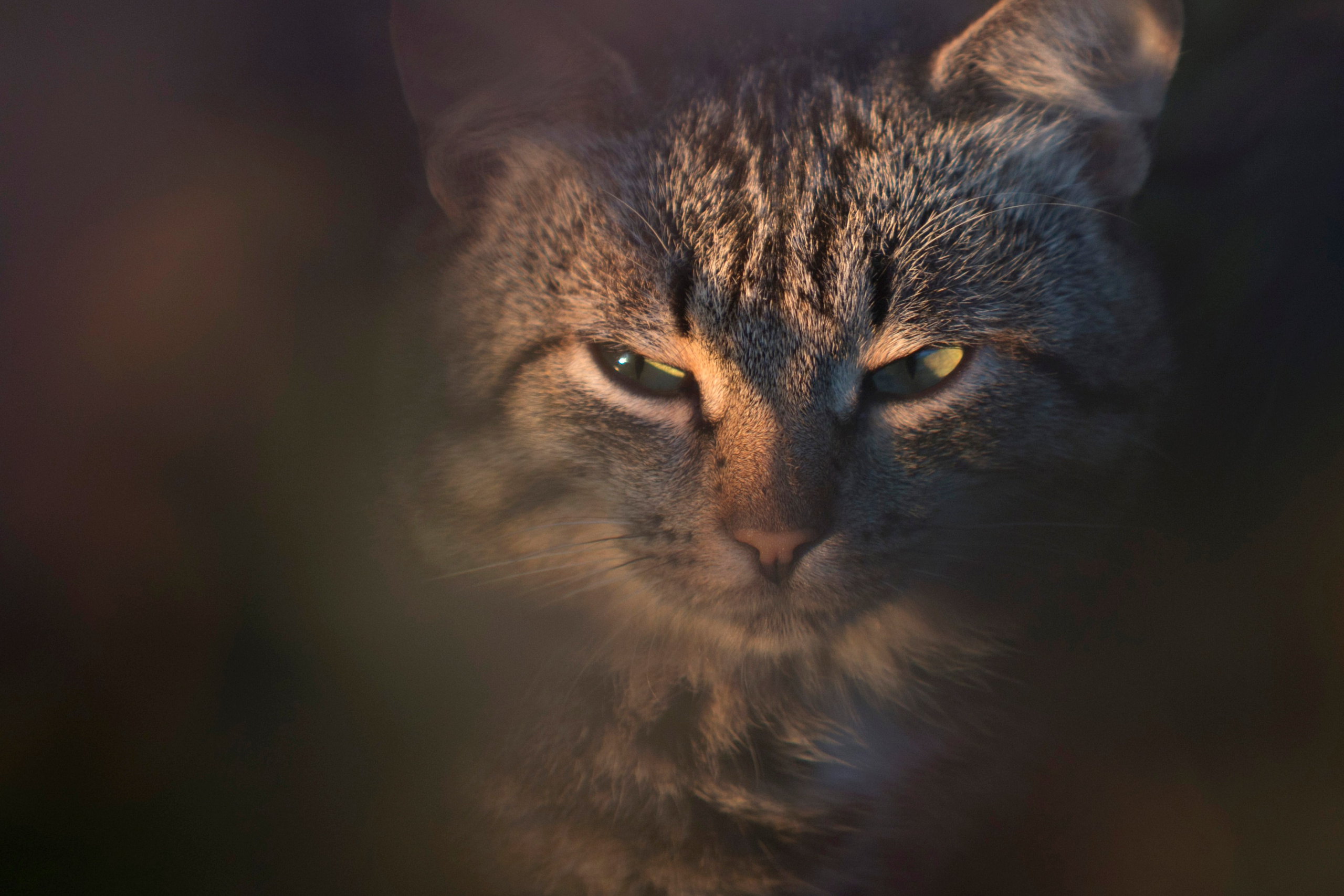 Жанровый портрет. Фотограф Лагутин Анатолий