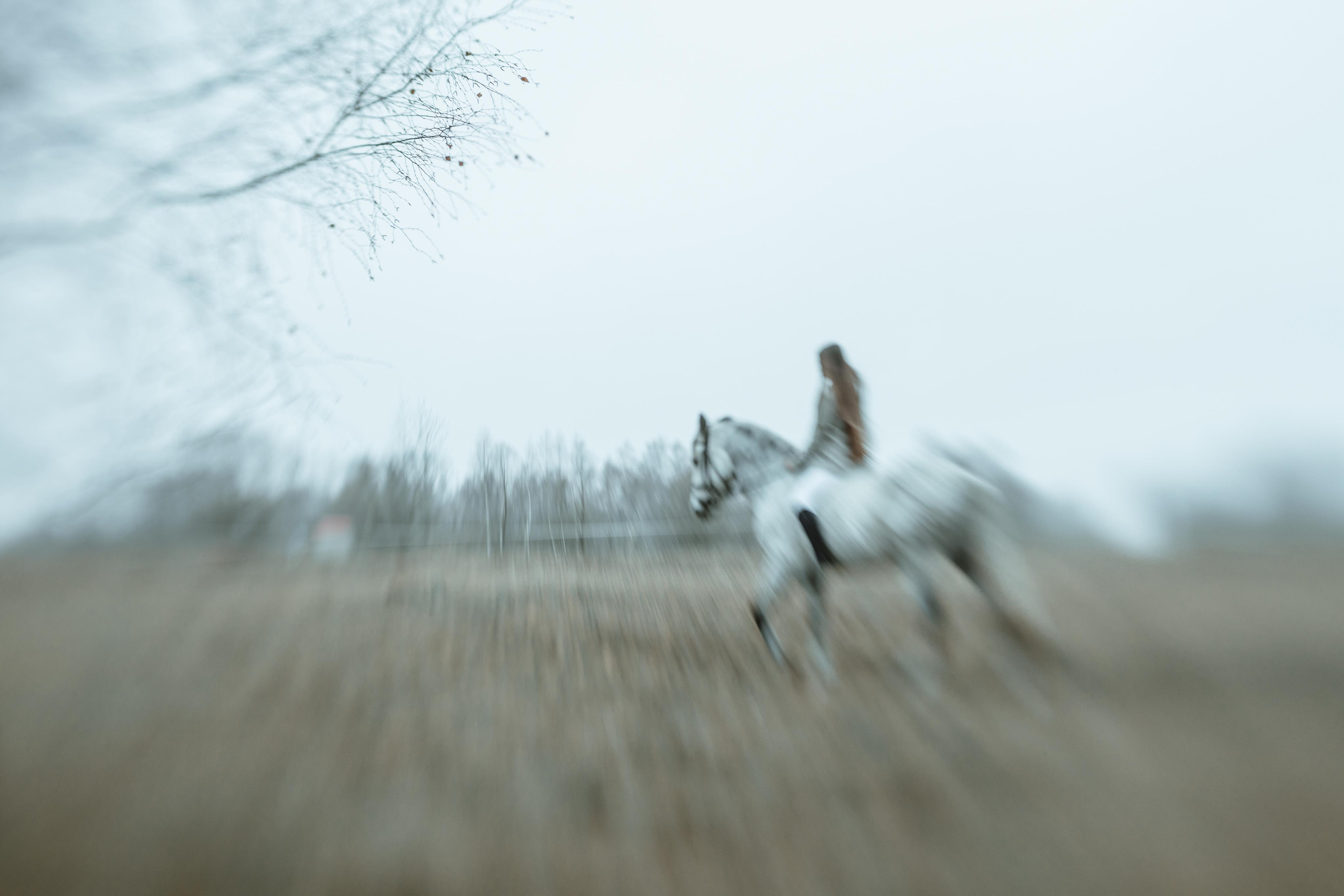 Анонс съемки для Ани. Женский семейный фотограф Тула Москва Захарова Анна