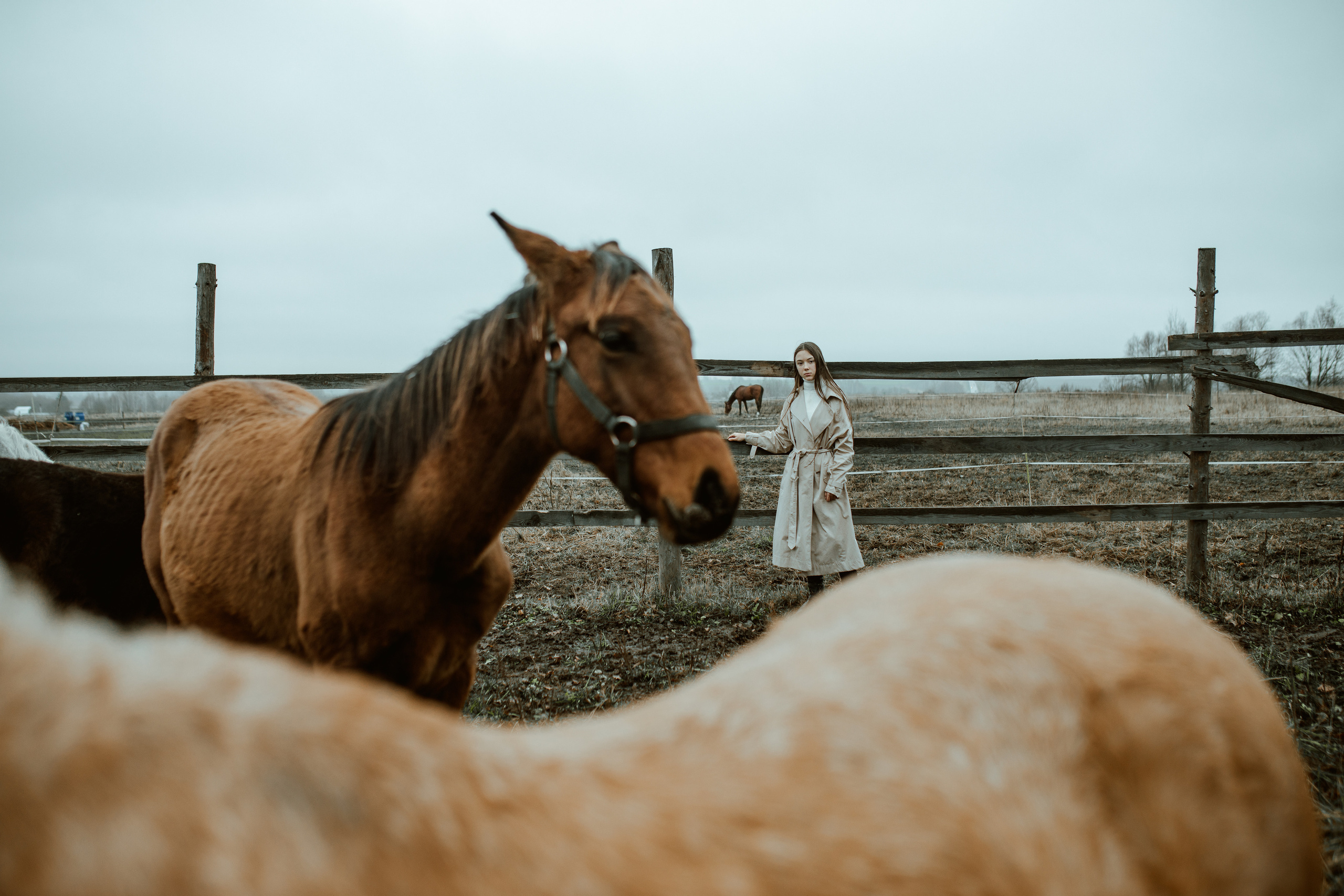 Анонс съемки для Ани. Женский семейный фотограф Тула Москва Захарова Анна