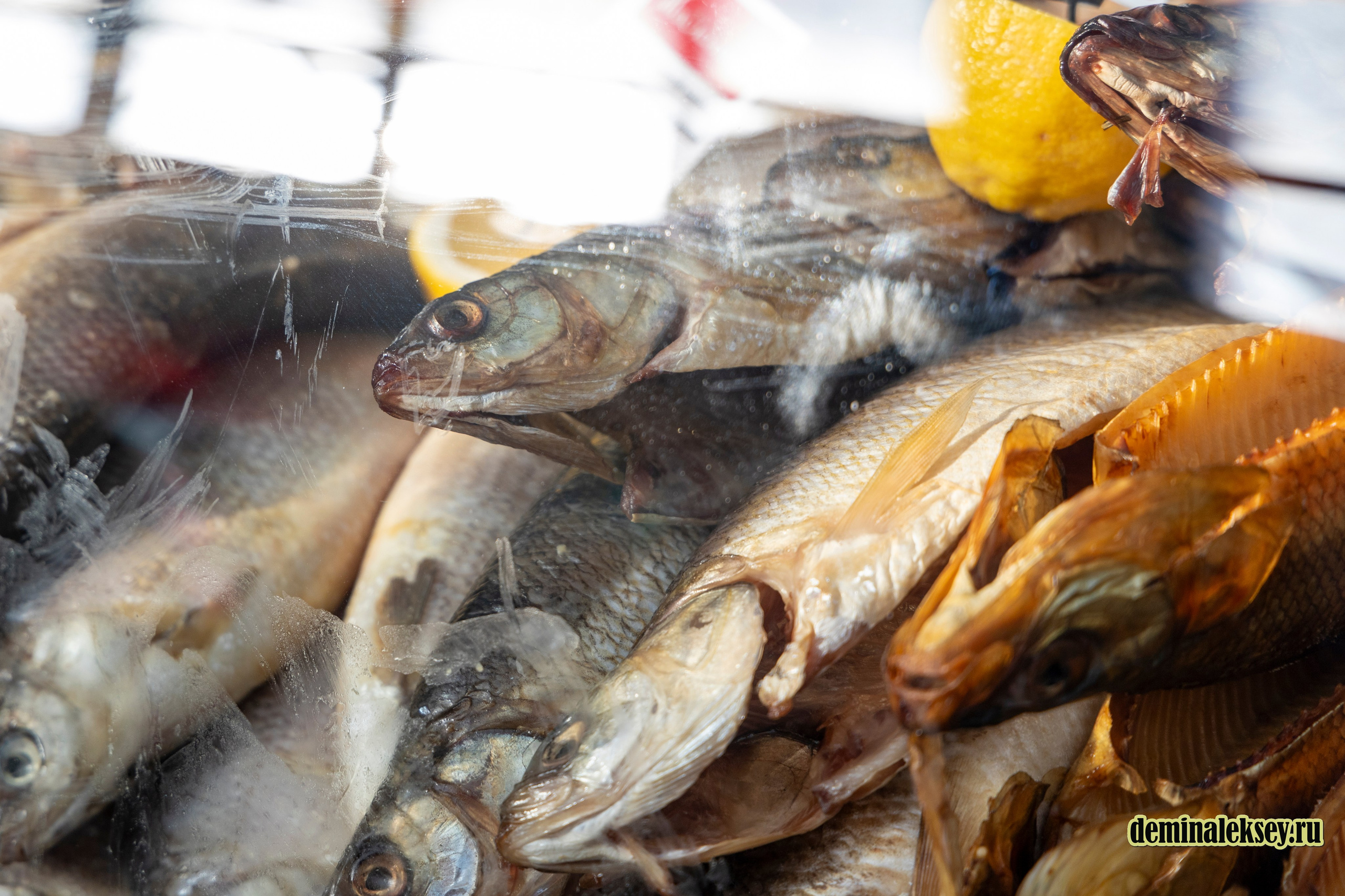 Московская масленица 2025. Репортажный, семейный и студийный фотограф в Москве Демин Алексей