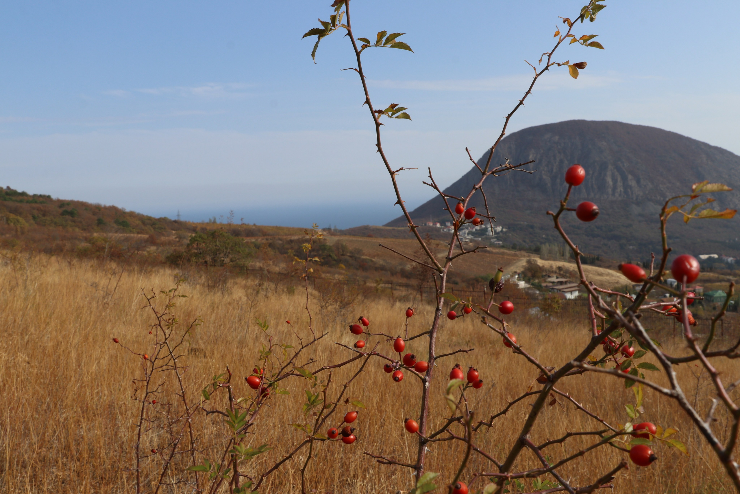 Крым. ЮБК (Гурзуф, Судак и их окрестности). Ноябрь 2023. Путешественник-фотограф из Санкт-Петербурга Татьяна Свистулина