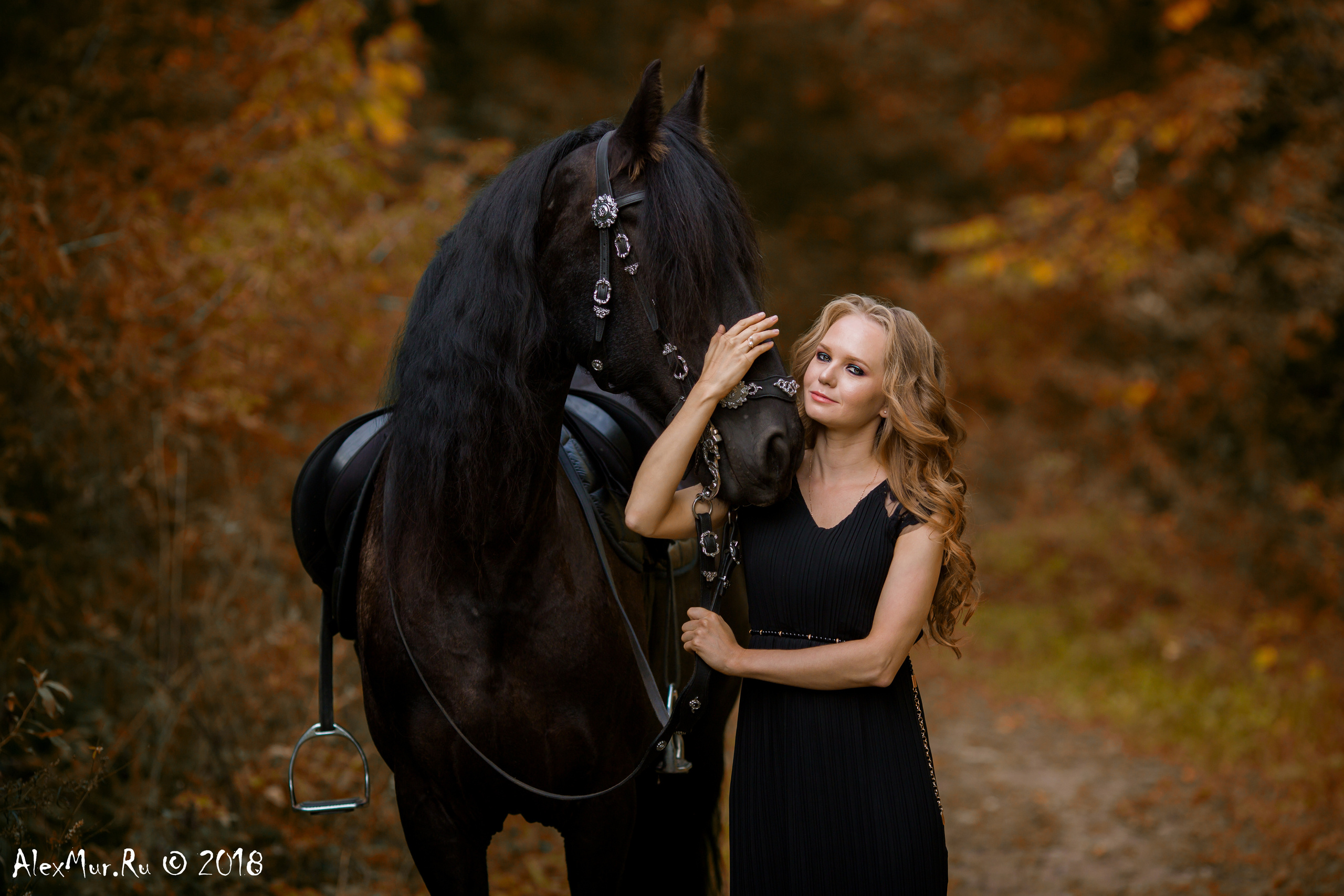 Фотосессии на лошадях Уфа, Фотосессии с лошадью, свадебная фотосессия Уфа, свадебный фотограф Уфа, Фотограф Уфа, Уфа фото, фотограф Алексей Муравьёв  +7 917 45 49 816