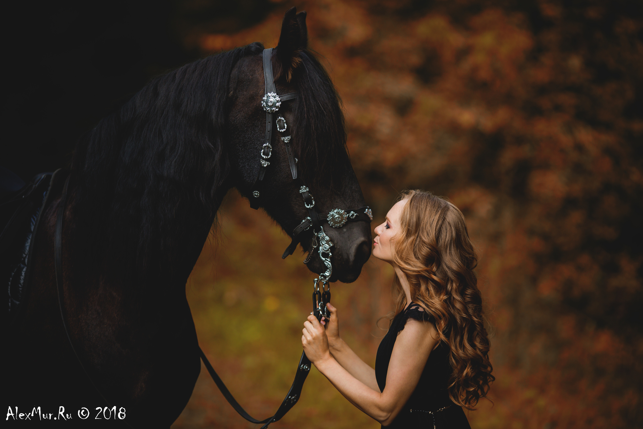 Фотосессии на лошадях Уфа, Фотосессии с лошадью, свадебная фотосессия Уфа, свадебный фотограф Уфа, Фотограф Уфа, Уфа фото, фотограф Алексей Муравьёв  +7 917 45 49 816