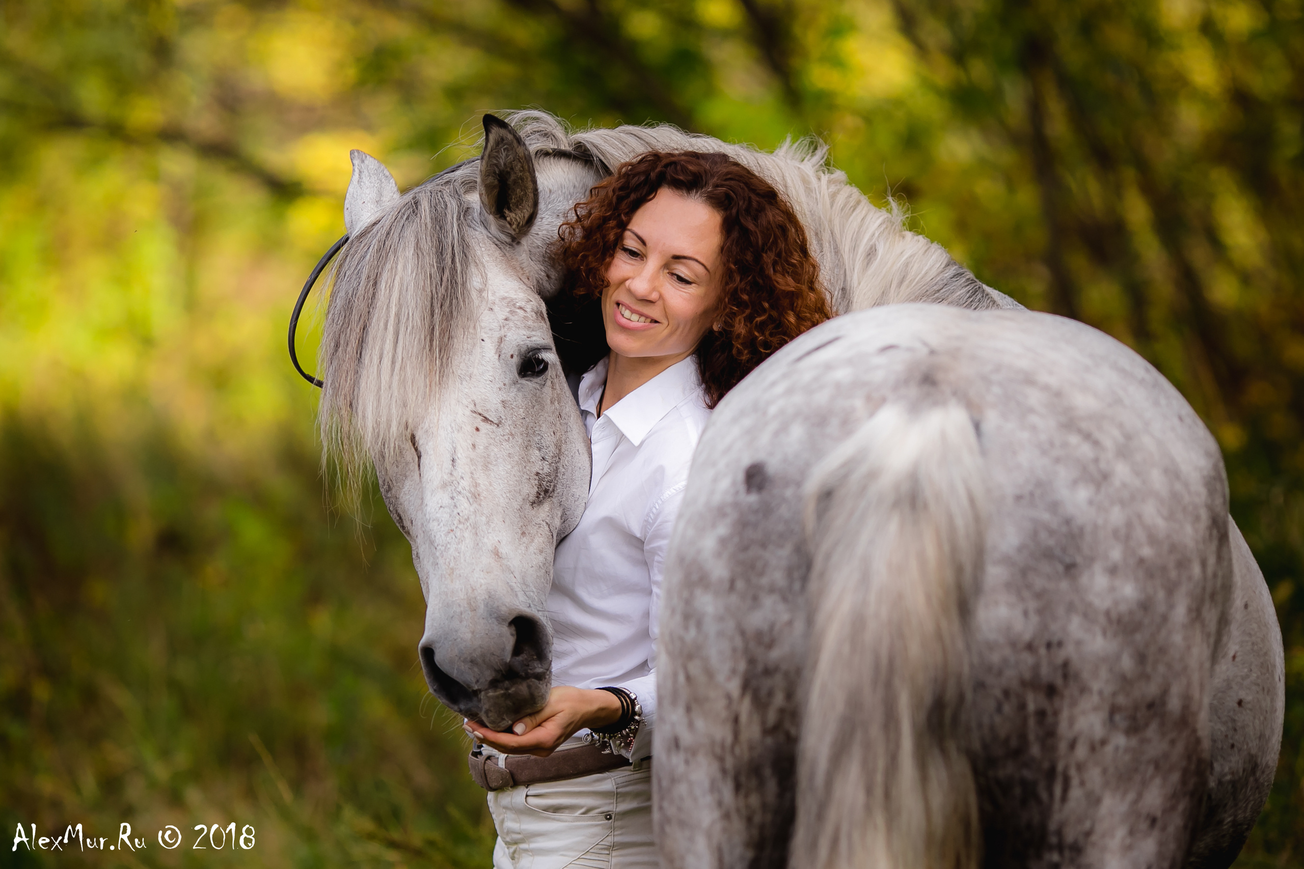 Фотосессии на лошадях Уфа, Фотосессии с лошадью, свадебная фотосессия Уфа, свадебный фотограф Уфа, Фотограф Уфа, Уфа фото, фотограф Алексей Муравьёв  +7 917 45 49 816
