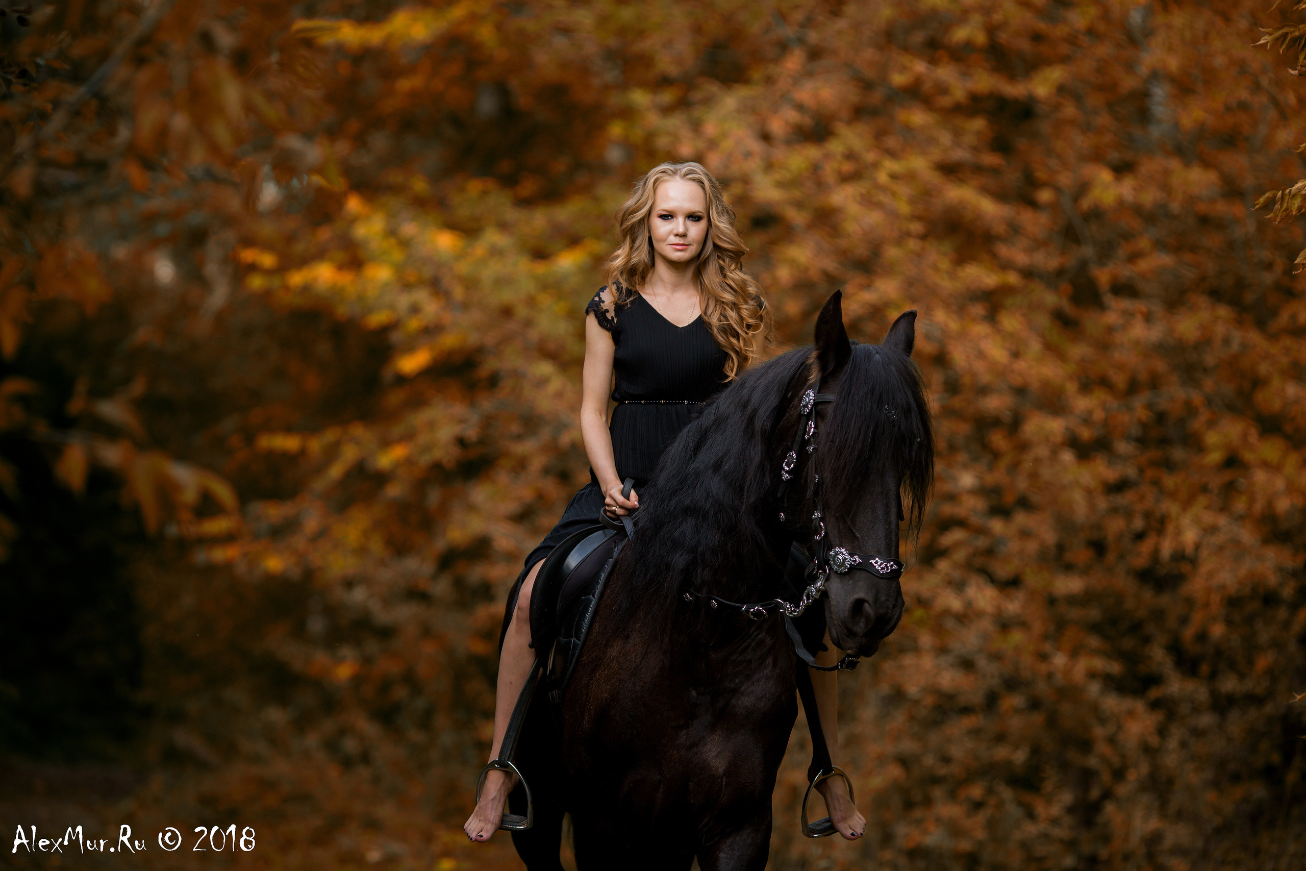 Фотосессии на лошадях Уфа, Фотосессии с лошадью, свадебная фотосессия Уфа, свадебный фотограф Уфа, Фотограф Уфа, Уфа фото, фотограф Алексей Муравьёв  +7 917 45 49 816
