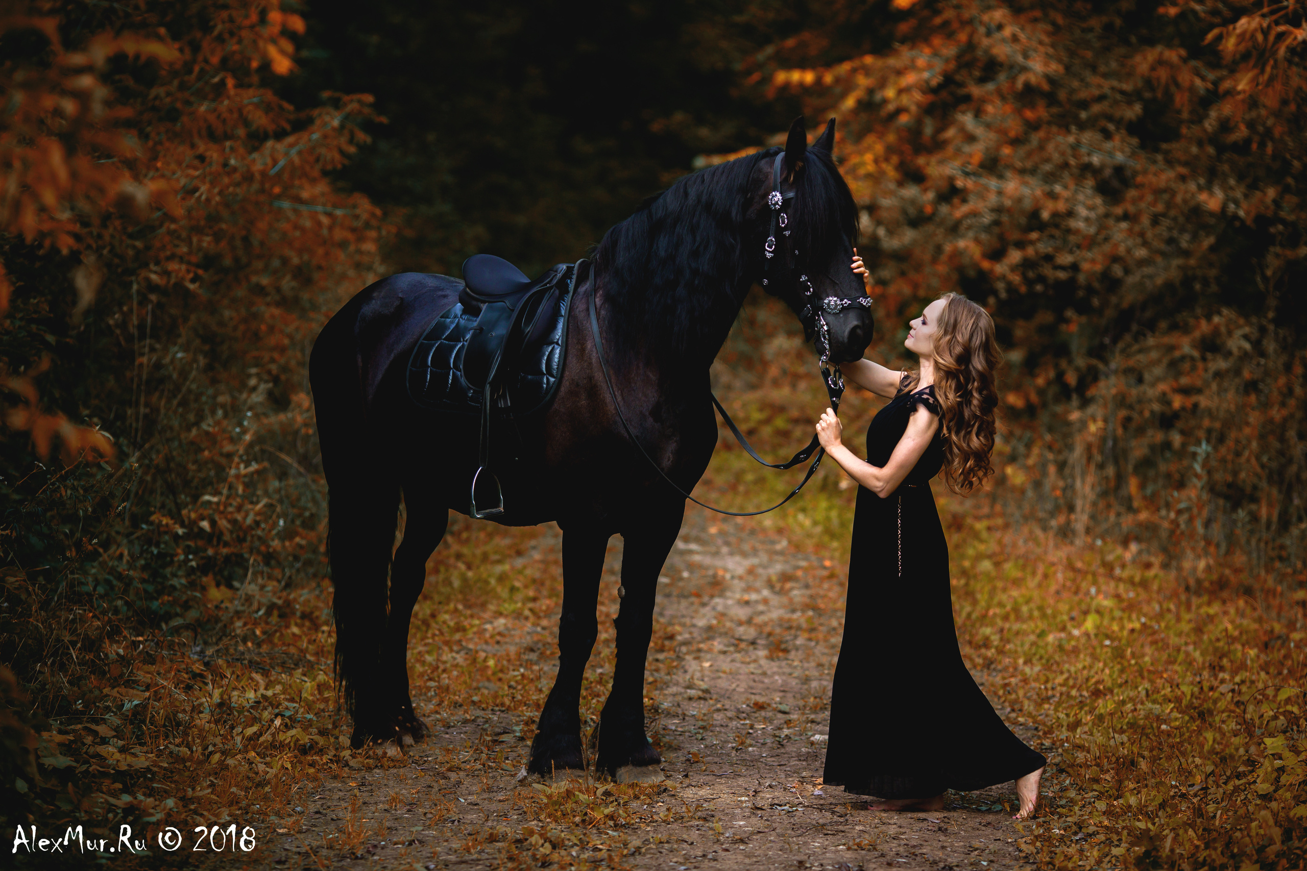 Фотосессии на лошадях Уфа, Фотосессии с лошадью, свадебная фотосессия Уфа, свадебный фотограф Уфа, Фотограф Уфа, Уфа фото, фотограф Алексей Муравьёв  +7 917 45 49 816
