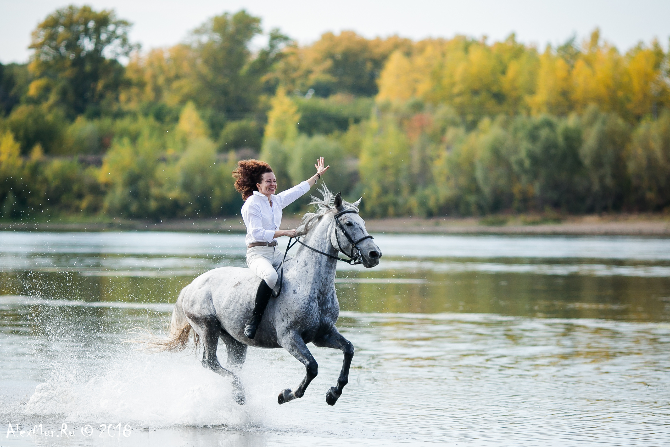 Фотосессии на лошадях Уфа, Фотосессии с лошадью, свадебная фотосессия Уфа, свадебный фотограф Уфа, Фотограф Уфа, Уфа фото, фотограф Алексей Муравьёв  +7 917 45 49 816