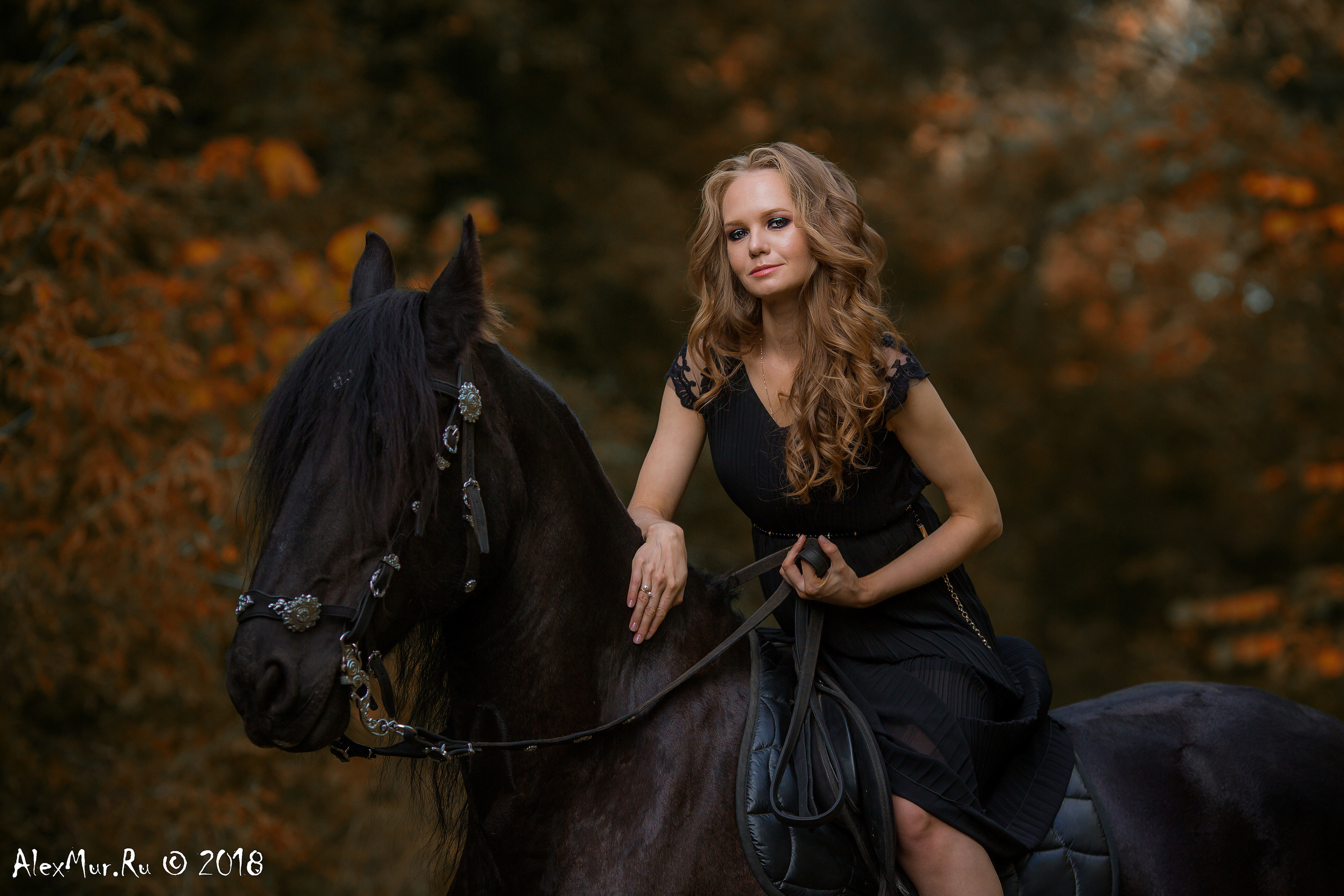 Фотосессии на лошадях Уфа, Фотосессии с лошадью, свадебная фотосессия Уфа, свадебный фотограф Уфа, Фотограф Уфа, Уфа фото, фотограф Алексей Муравьёв  +7 917 45 49 816