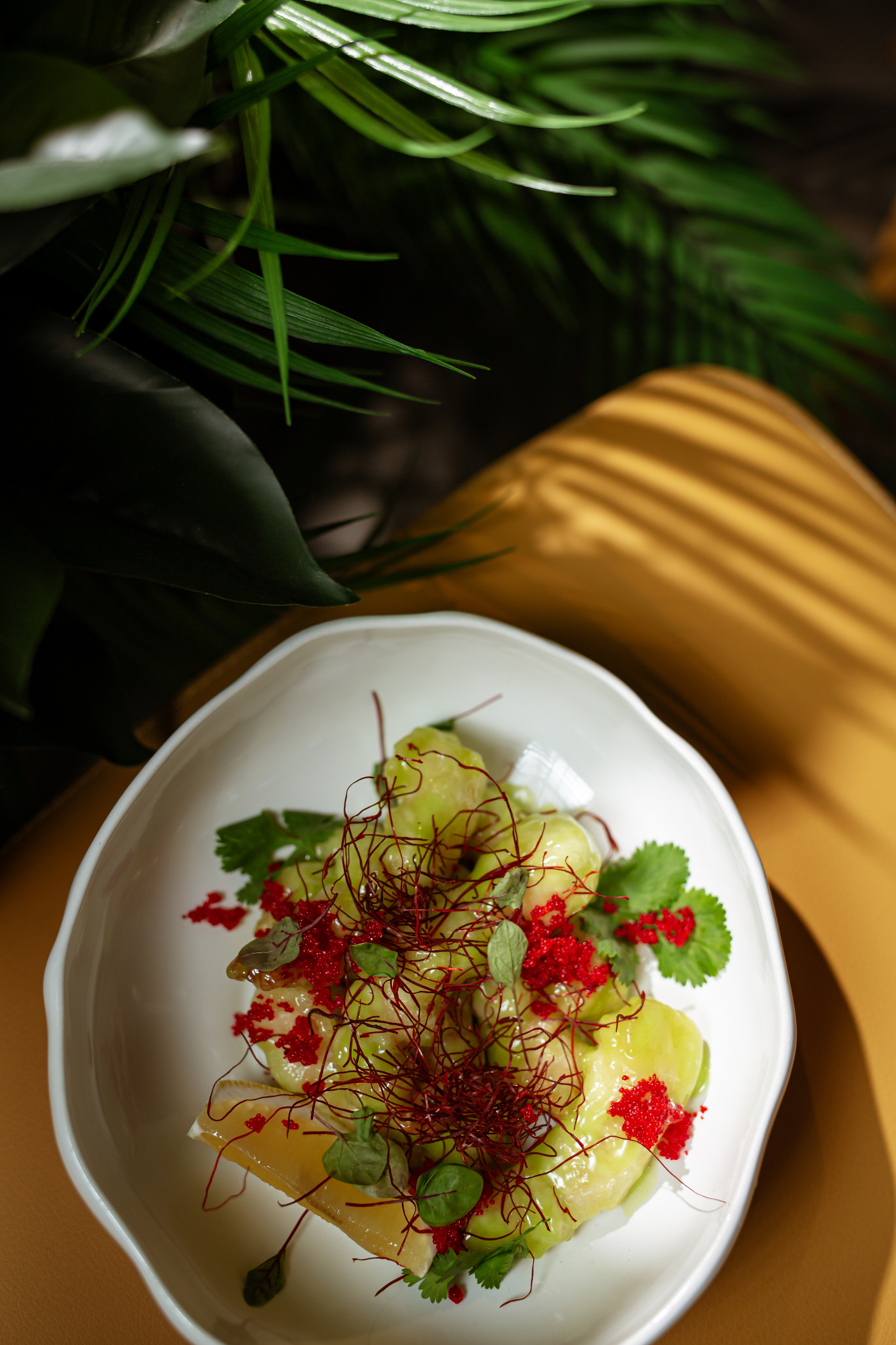 Фотограф Москва — найти фотографа в Москве для съемки в ресторан