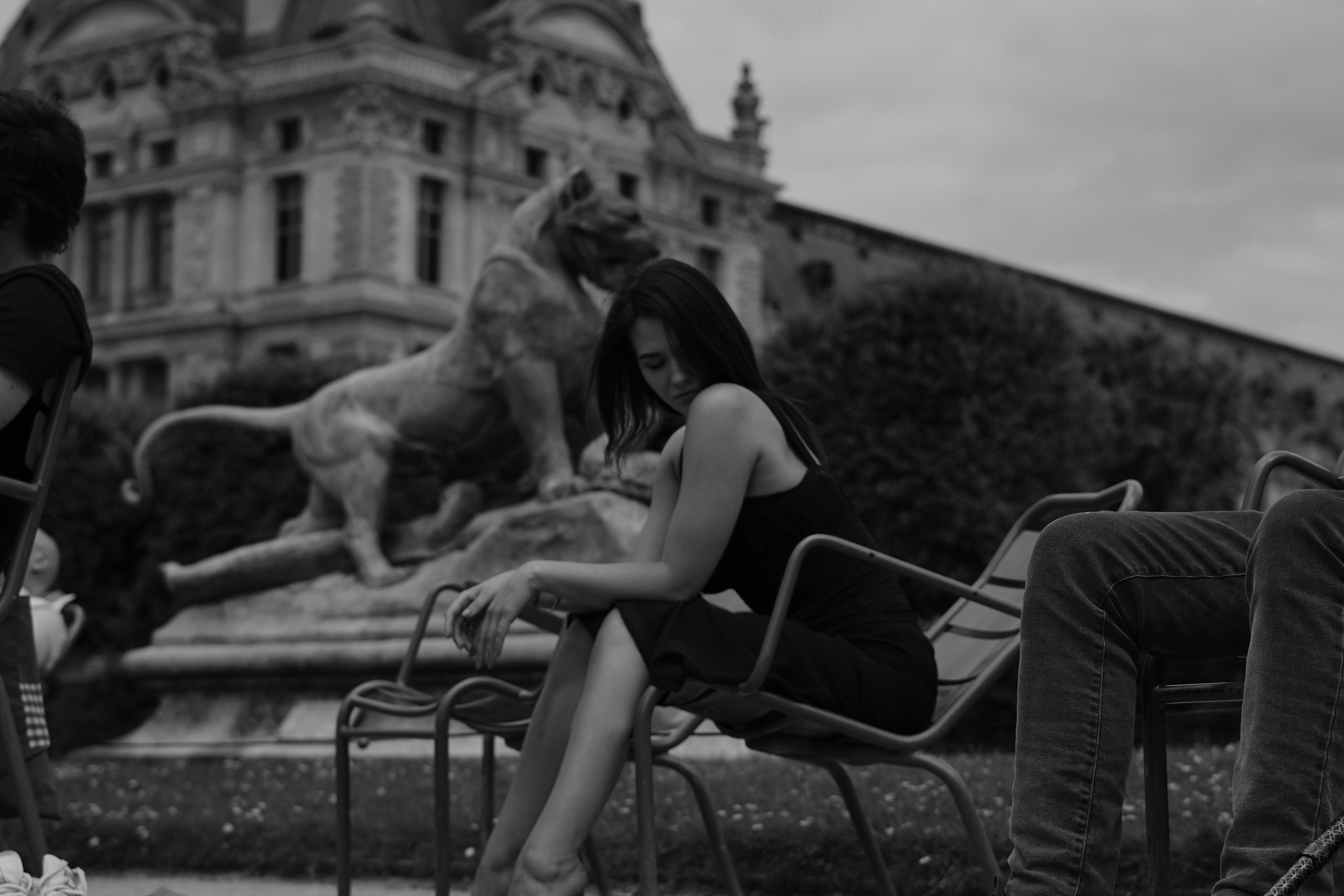 Галерея. Beardy Pix