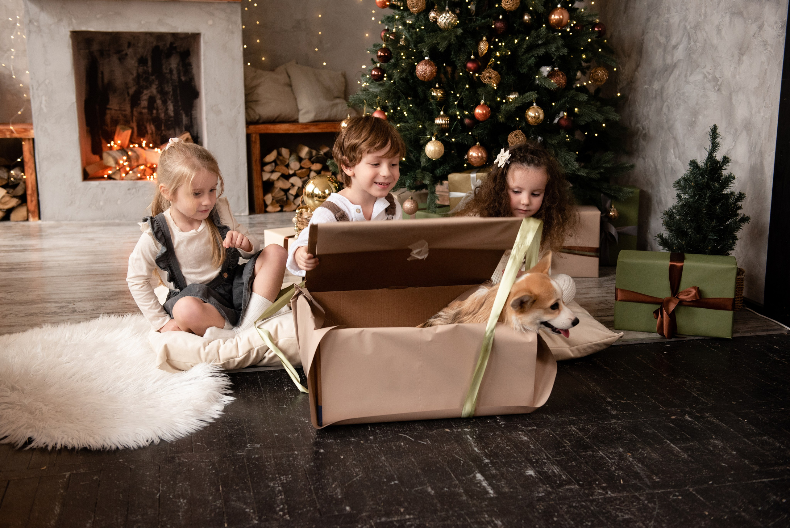 Новогодние. Свадебный и семейный Фотограф в Твери Сергей Скорода