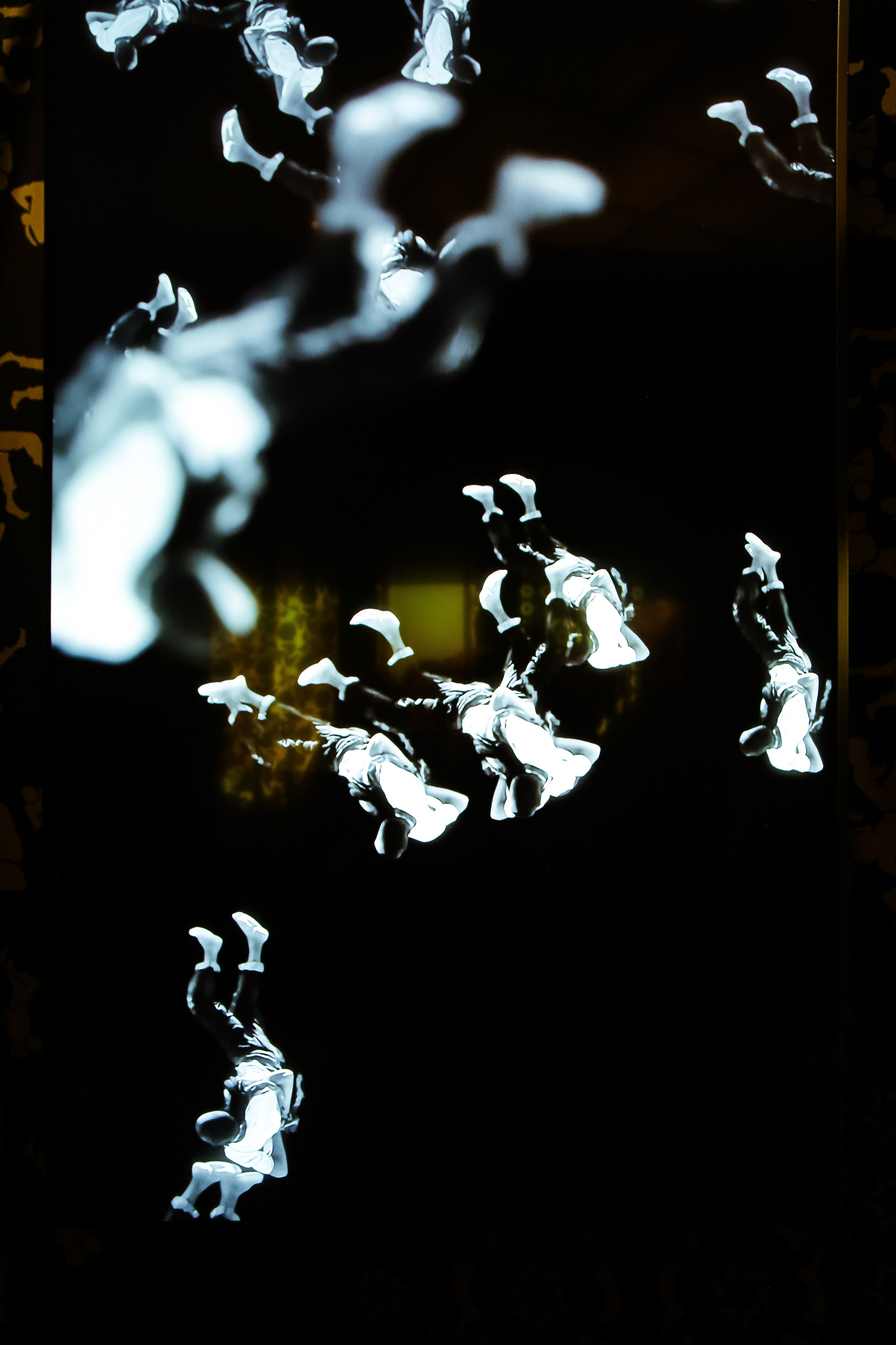 VIII Московская биеннале современного искусства. Дарья Письменюк / Darya Leitstern — фотограф, музыкант, журналист, путешественник