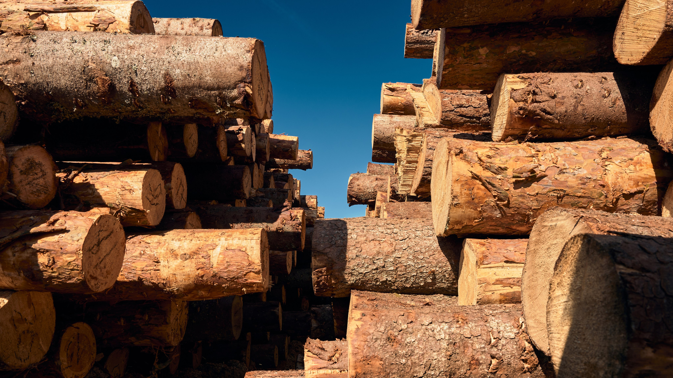 Промышленная фотосъемка в Москве и московской области. Профессиональный фотограф в Москве — Максим Дьяконов