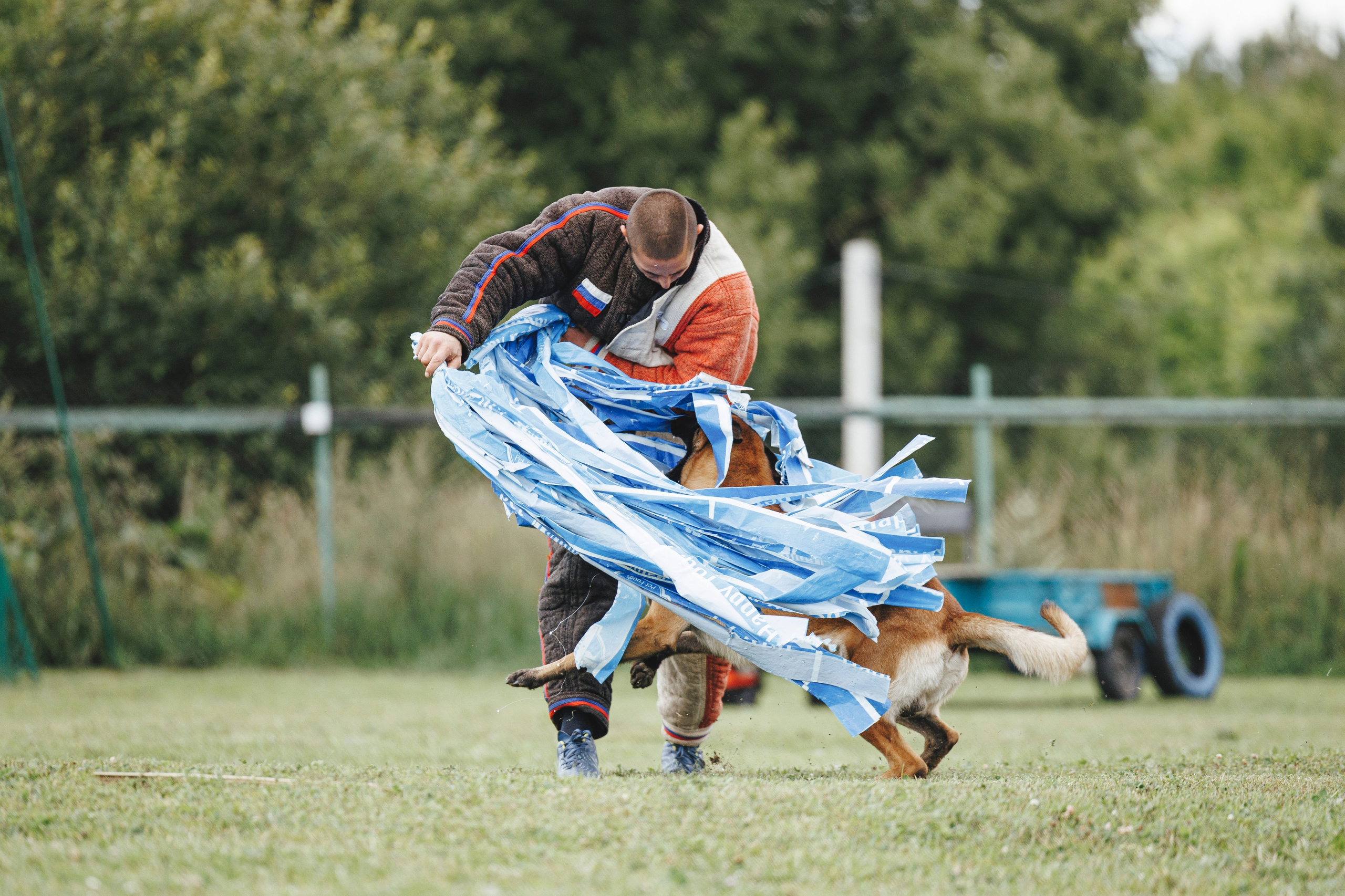 08.08.25-10.08.25 ЧР по мондьорингу г. Вологда. Фотограф-анималист Анна Маринич