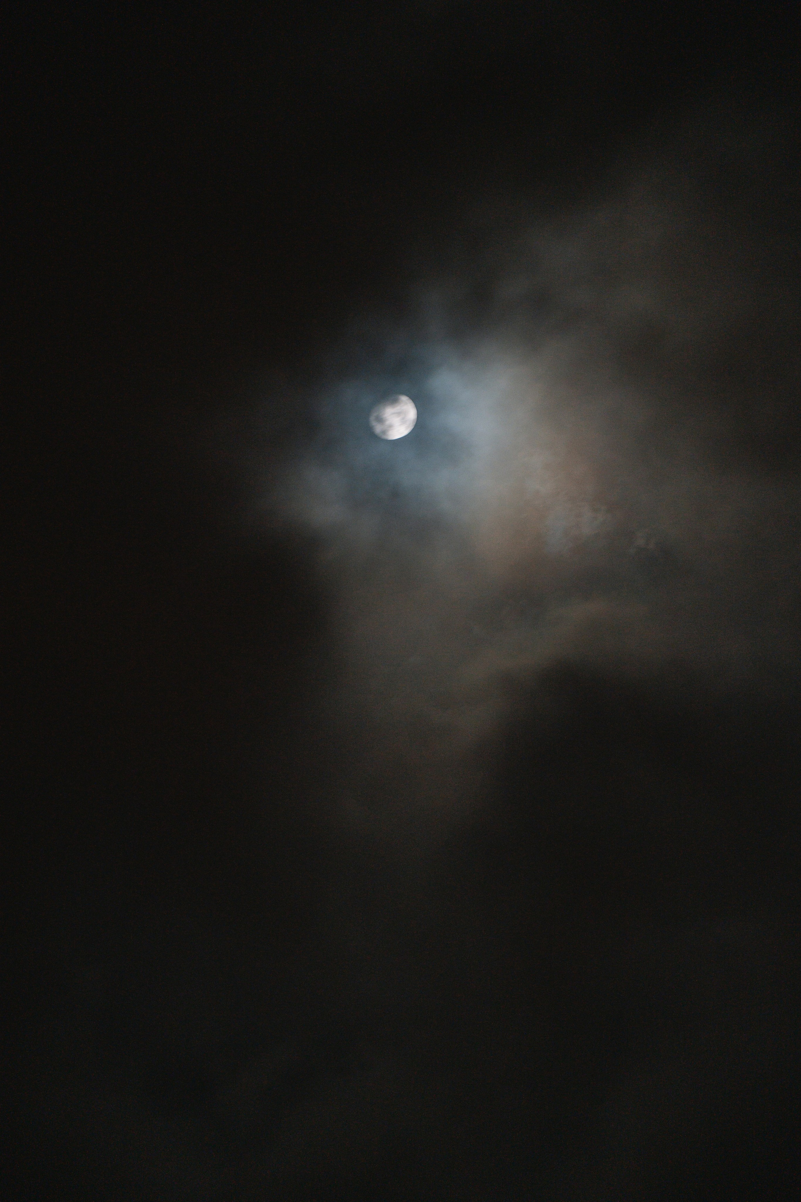 День Мечты. Свадебный и семейный фотограф в Анапе Елена Полетаева