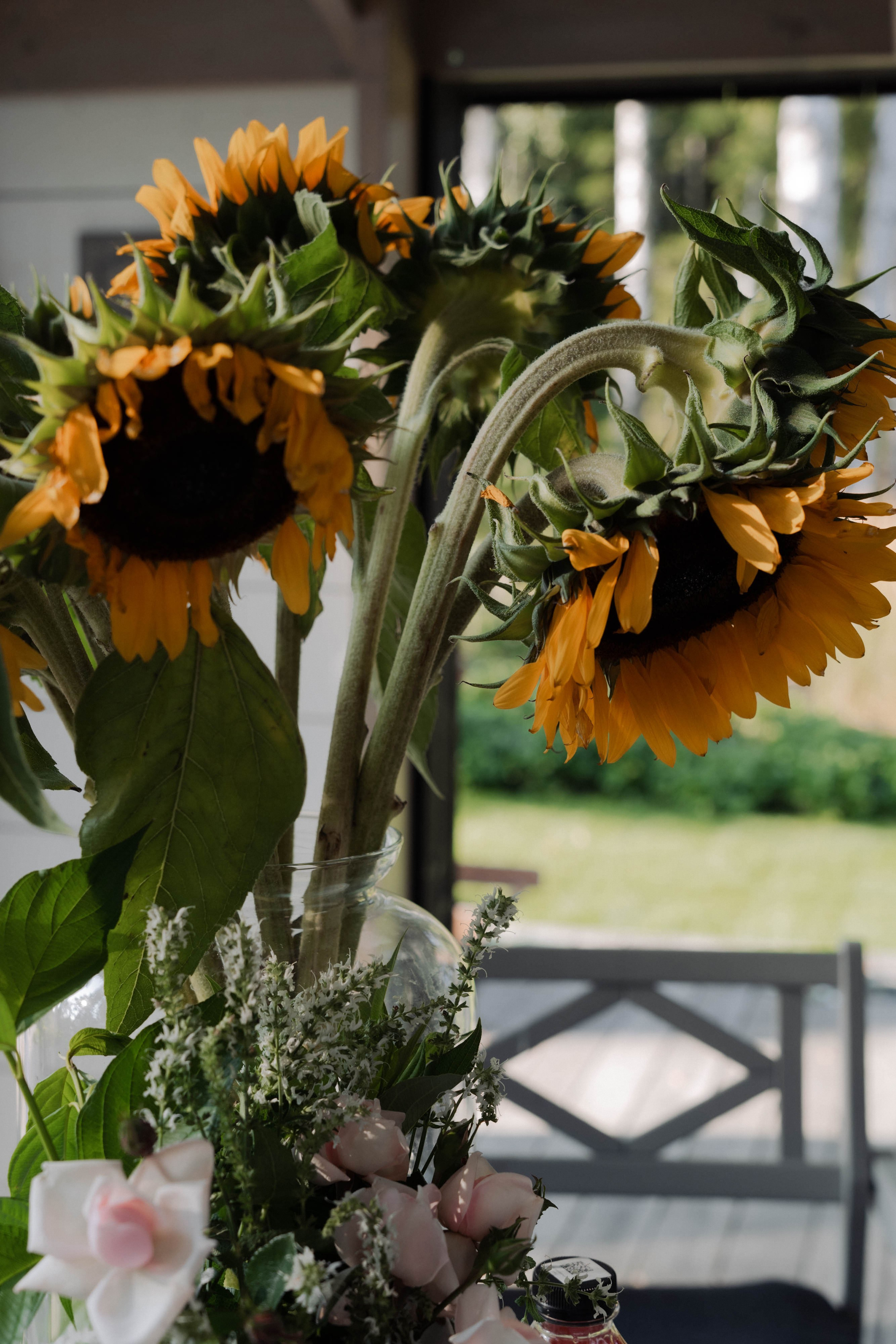 День рождения Марии. ФОТОГРАФ КСЕНИЯ СОСНОВСКАЯ