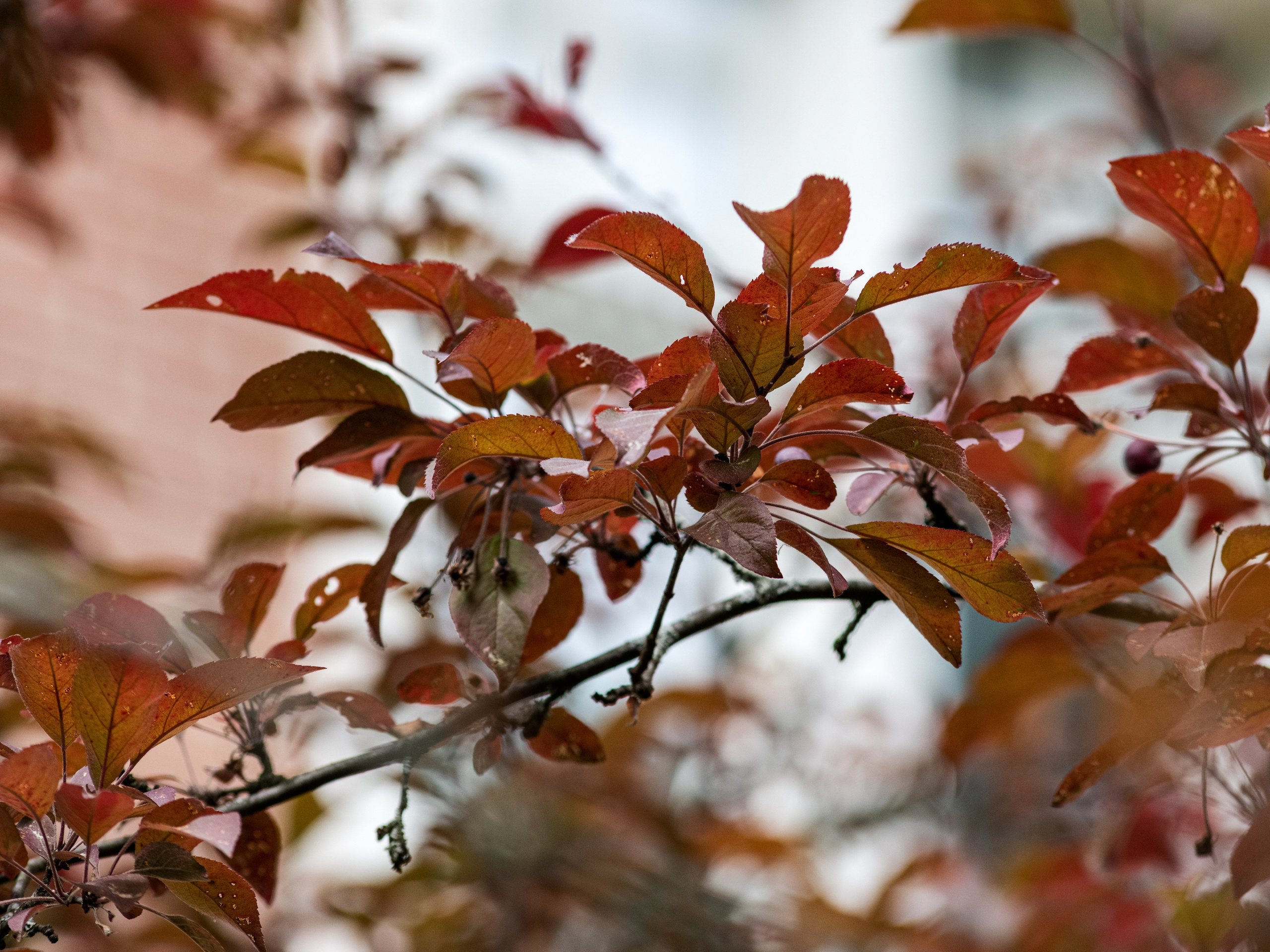 Не идеальный интерьер. Роман Свободный — интерьерная и архитектурная съёмка, Москва и МО