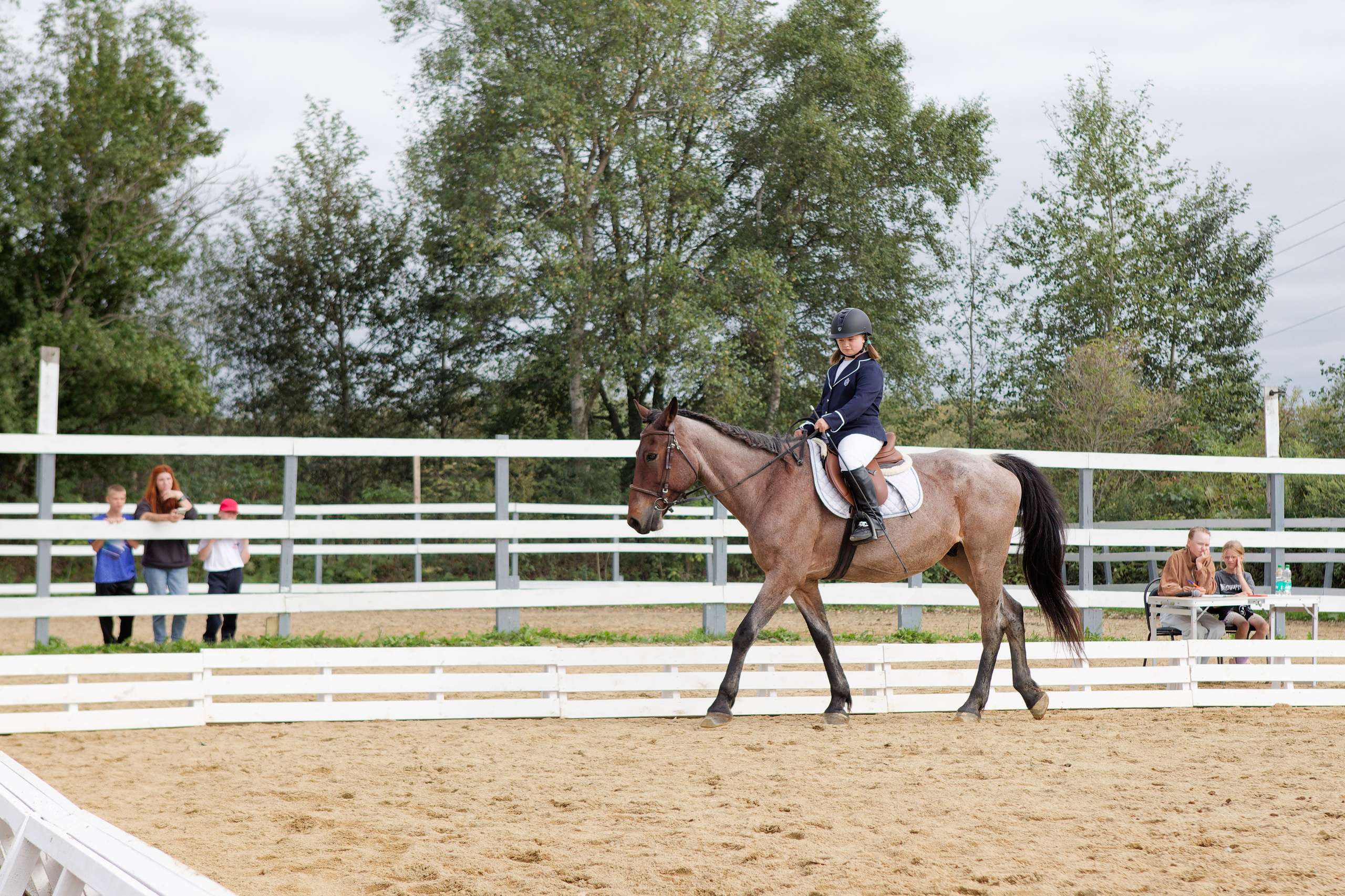 Всероссийские соревнования по конному спорту. Кутузов Евгений Фотограф в Южно-Сахалинске