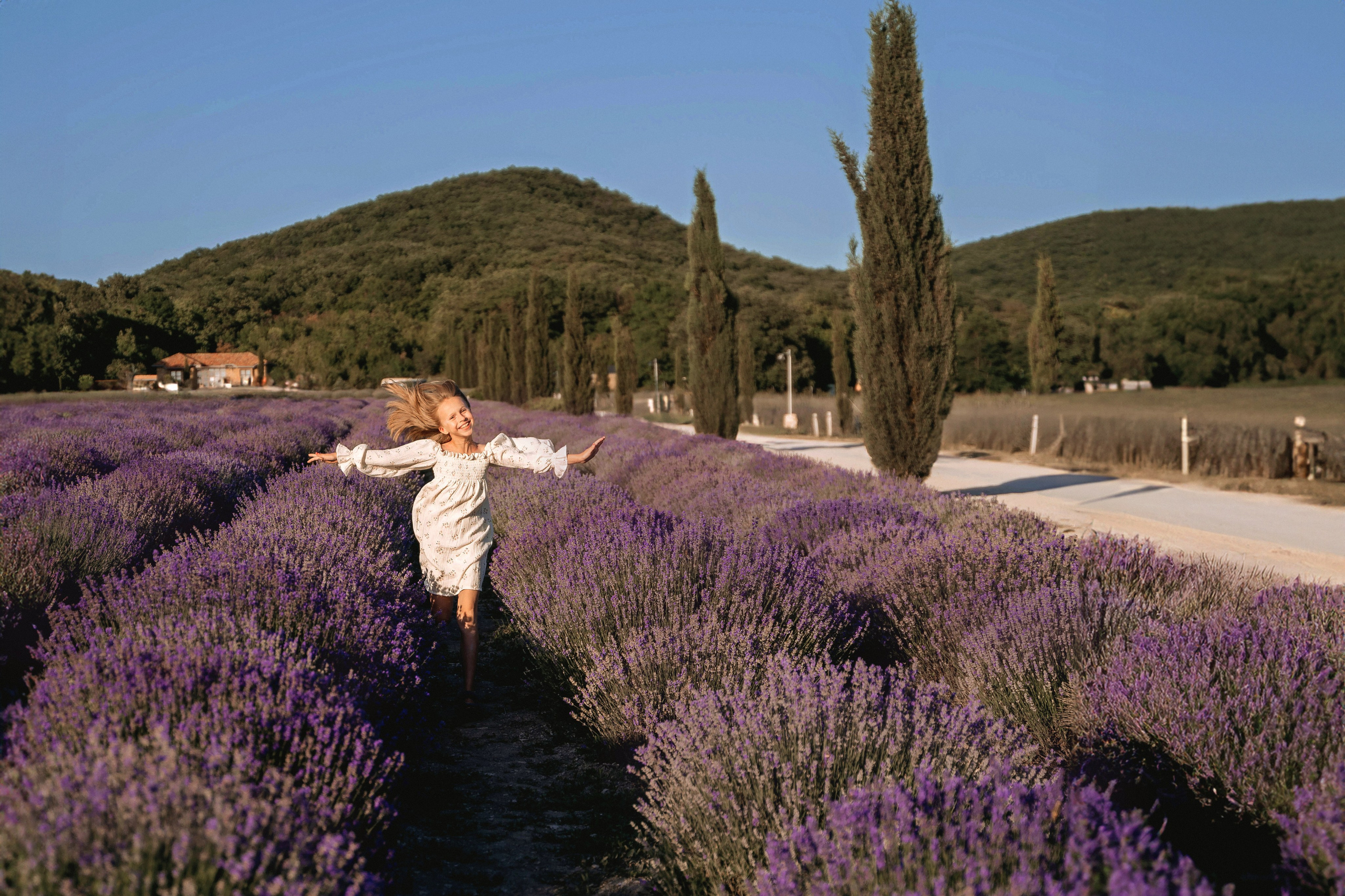 Лаванда. Татьяна Тагель