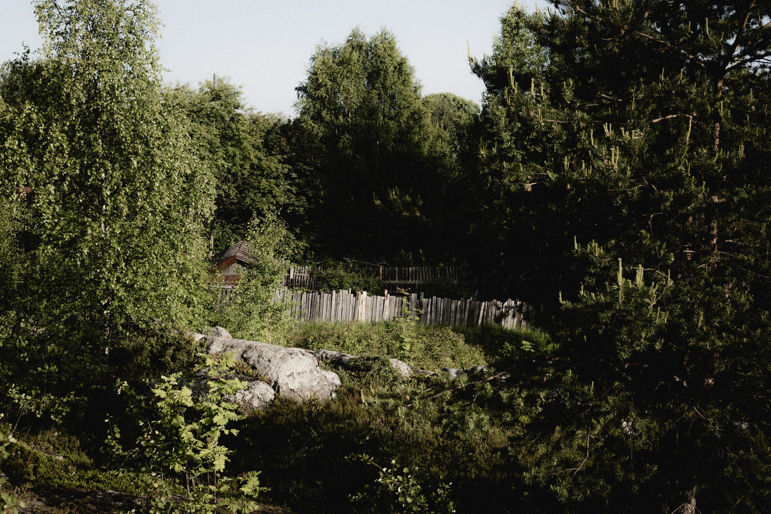 № 14. WAYHAY — Портретный фотограф