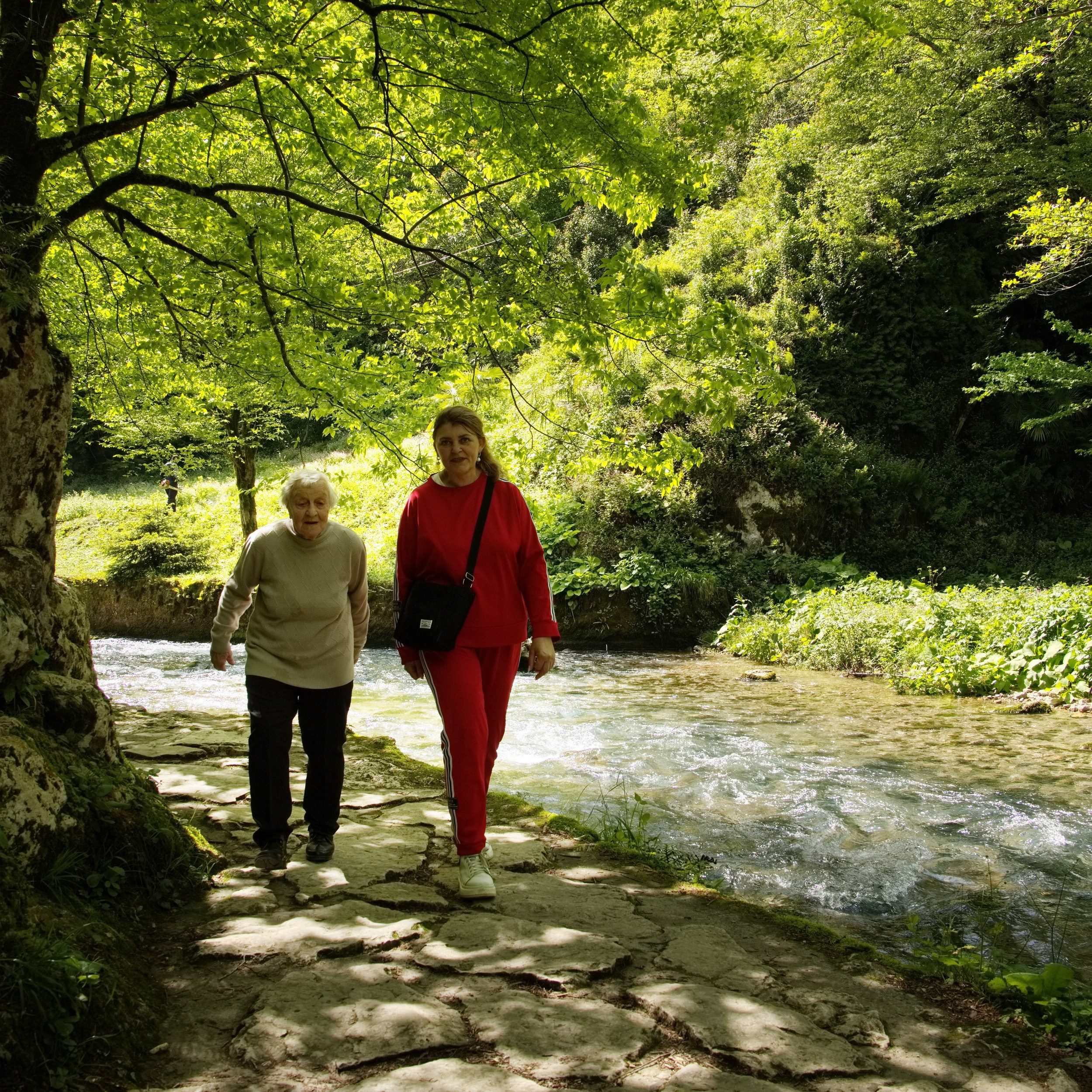 Путешествие по Абхазии в начале мая 2025 г. Вадим Шейдин