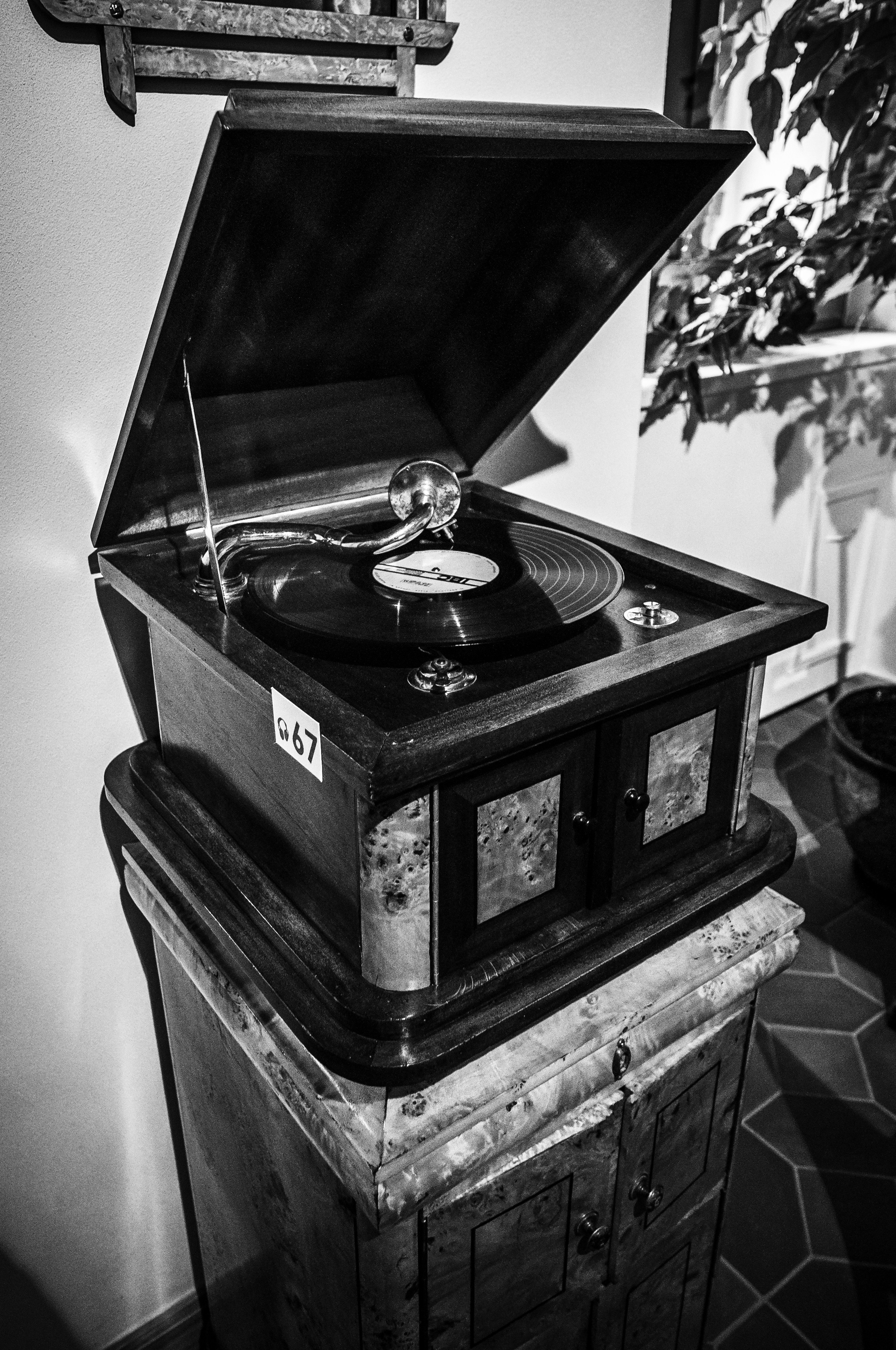 Мирский замок 2013. Фотограф Антон Швец — Монохромная реальность