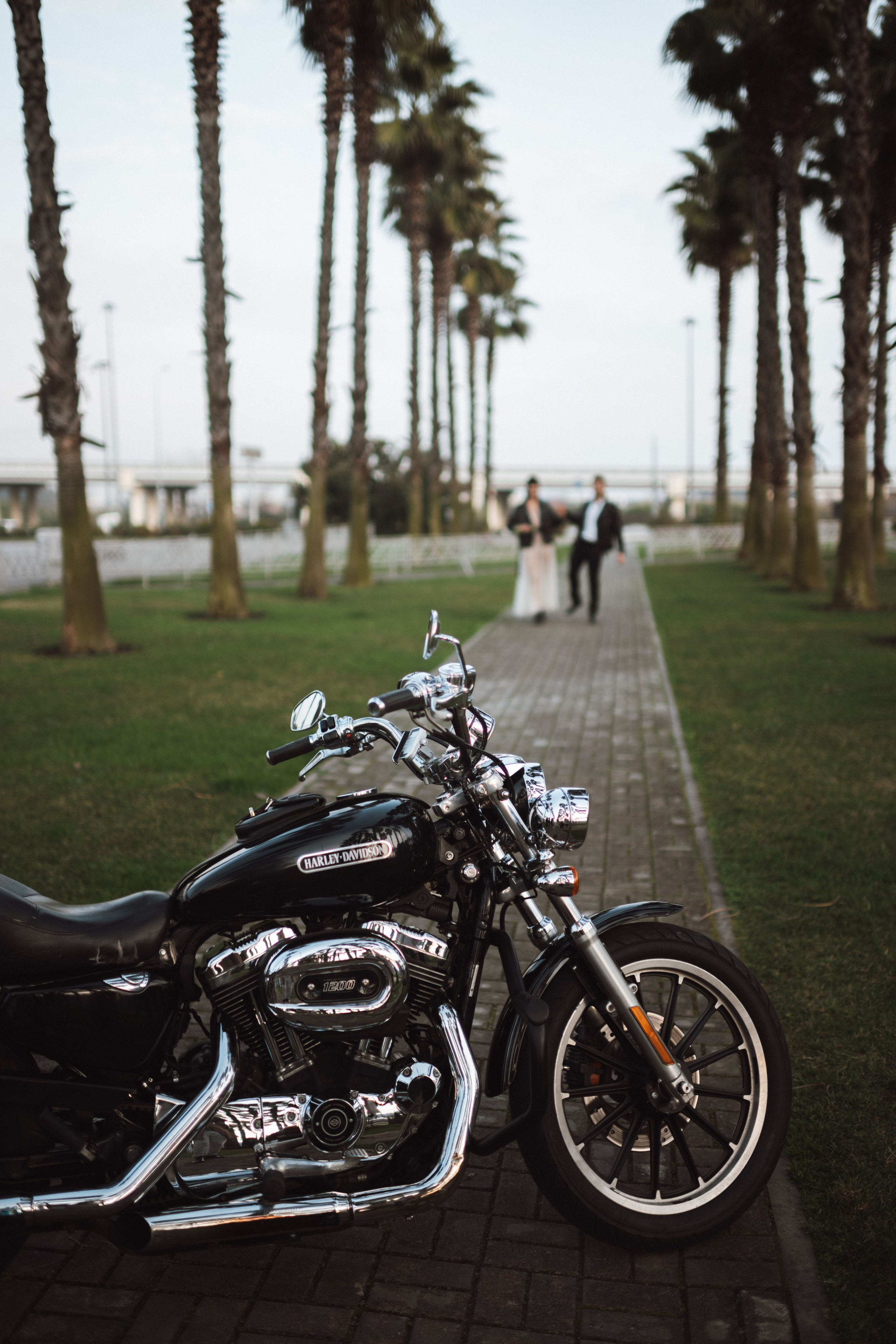 Свадебные съемки Сочи. Фотограф Москва и Видеограф Москва