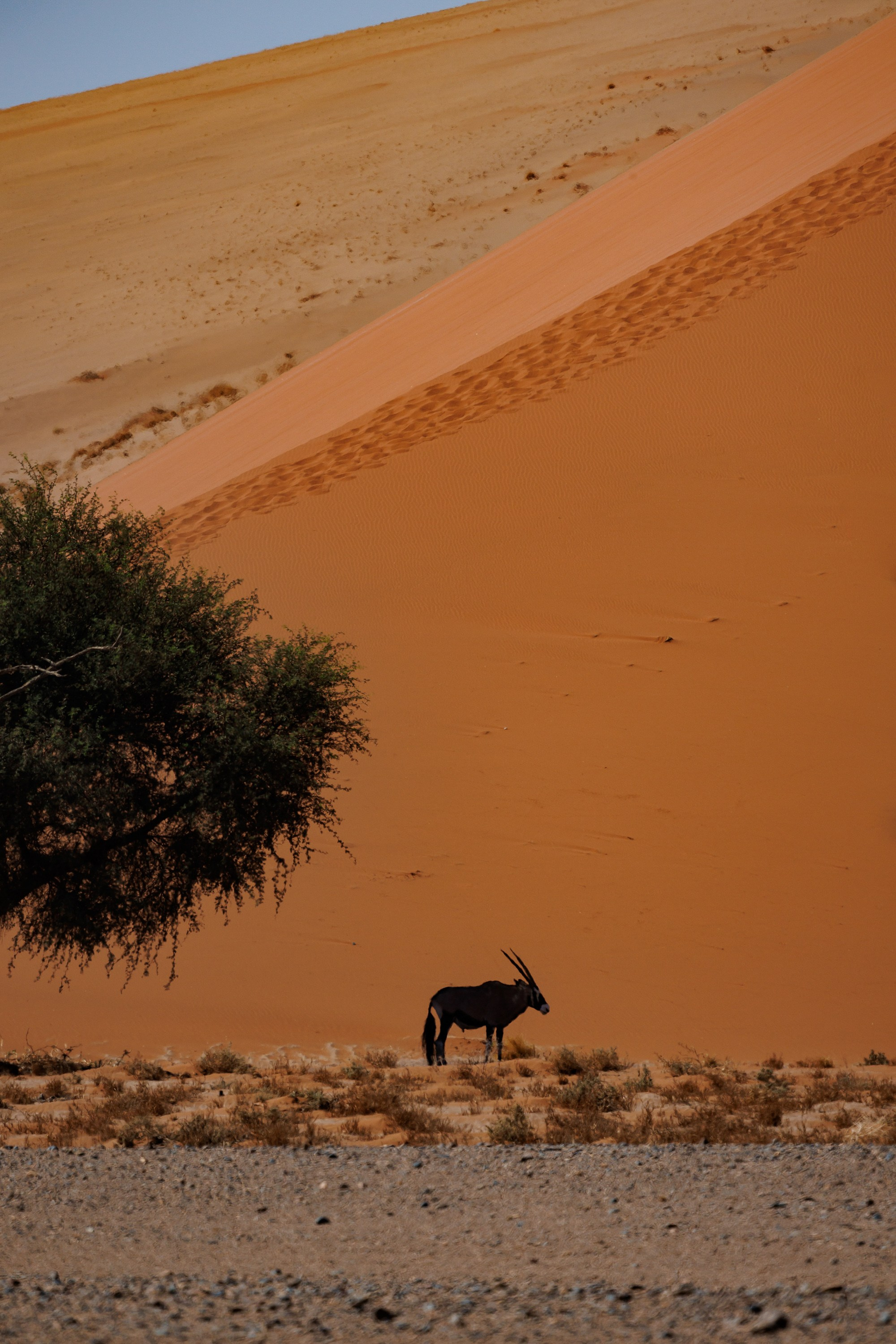 НАМИБИЯ. Роадтрип