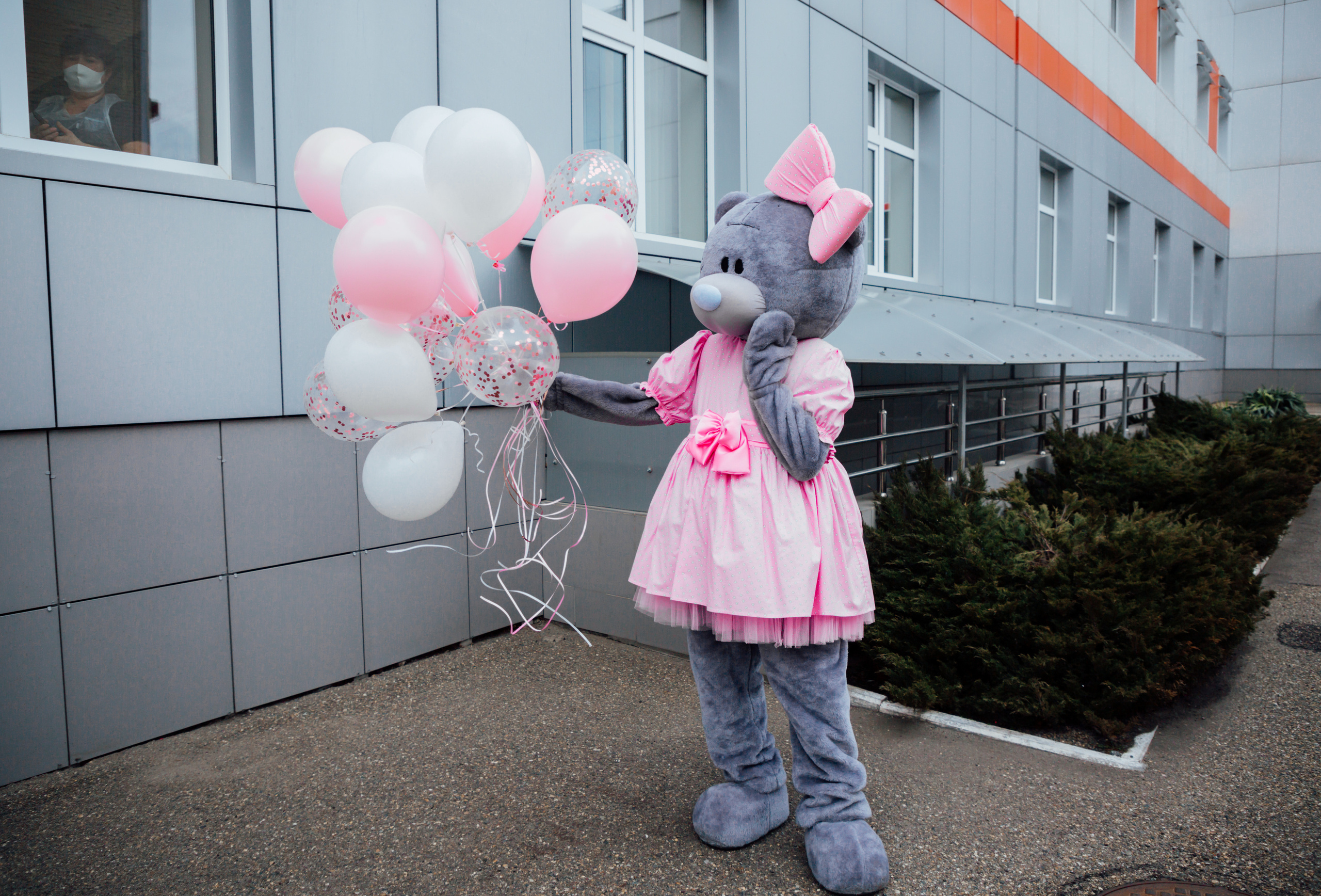 МИШКА ТЕДДИ. Свадебный и семейный фотограф/видеограф в Краснодаре Наталья Осинская