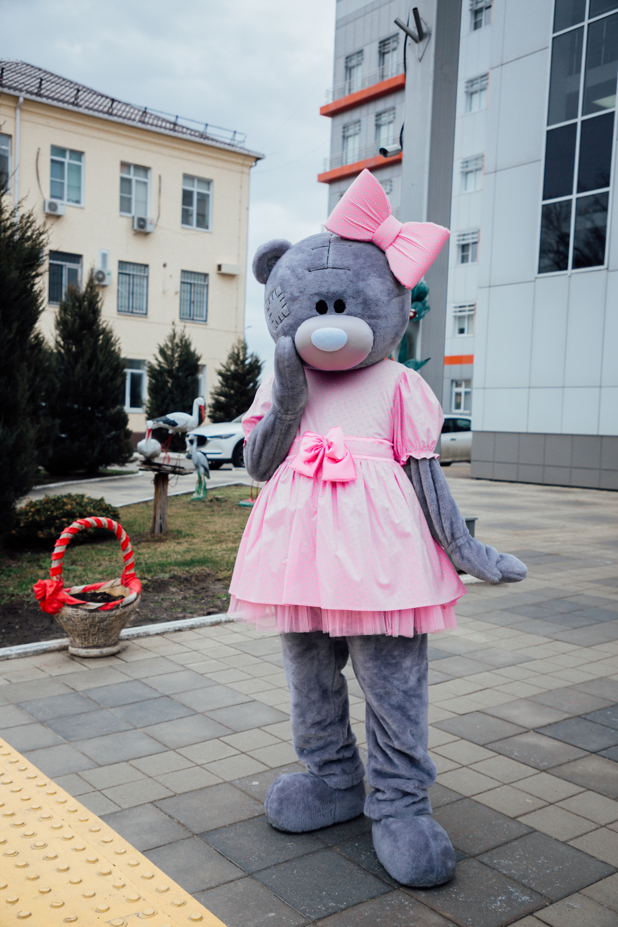 МИШКА ТЕДДИ. Свадебный и семейный фотограф/видеограф в Краснодаре Наталья Осинская