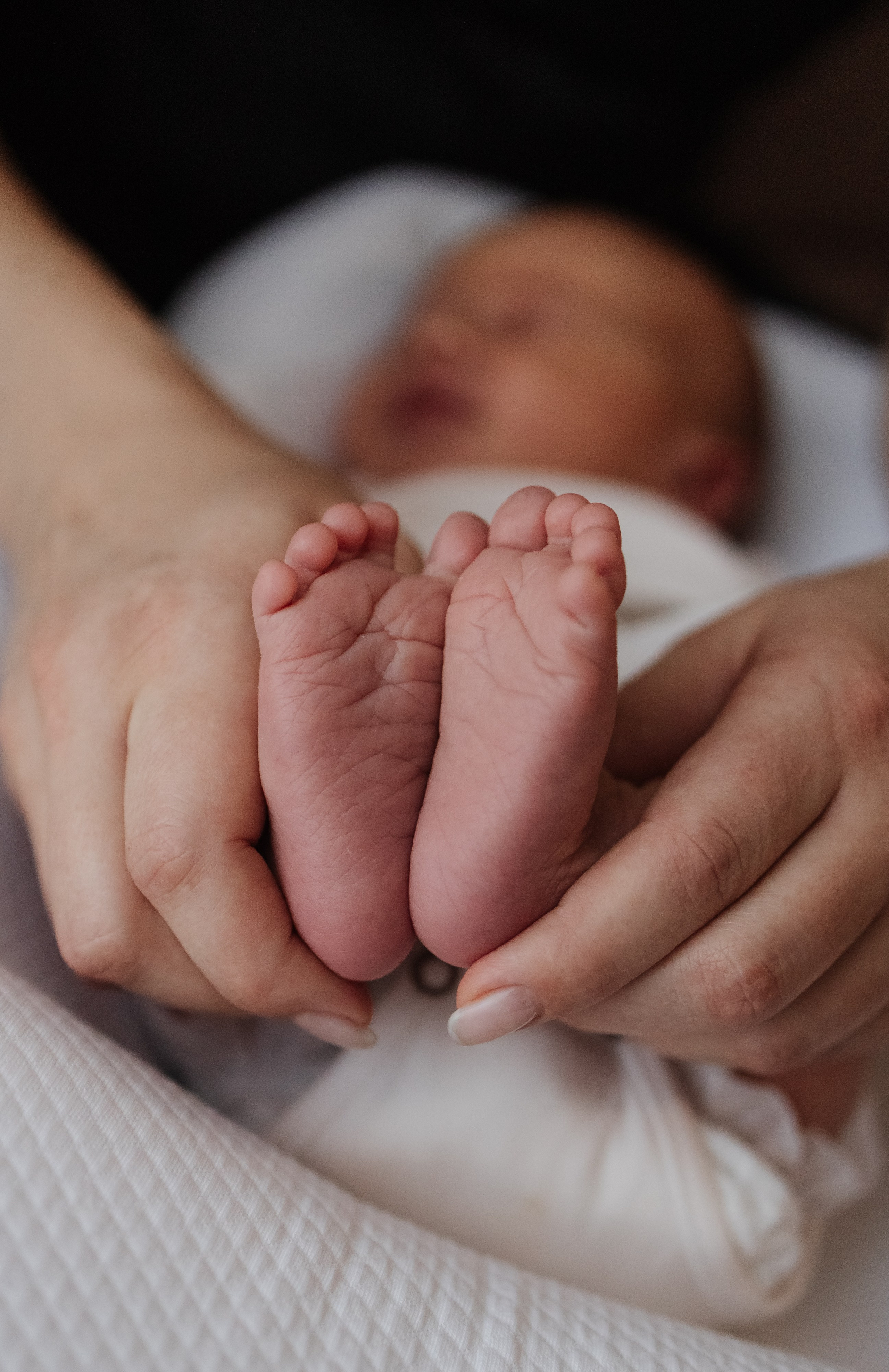 Гордей. Фотограф Новосибирск