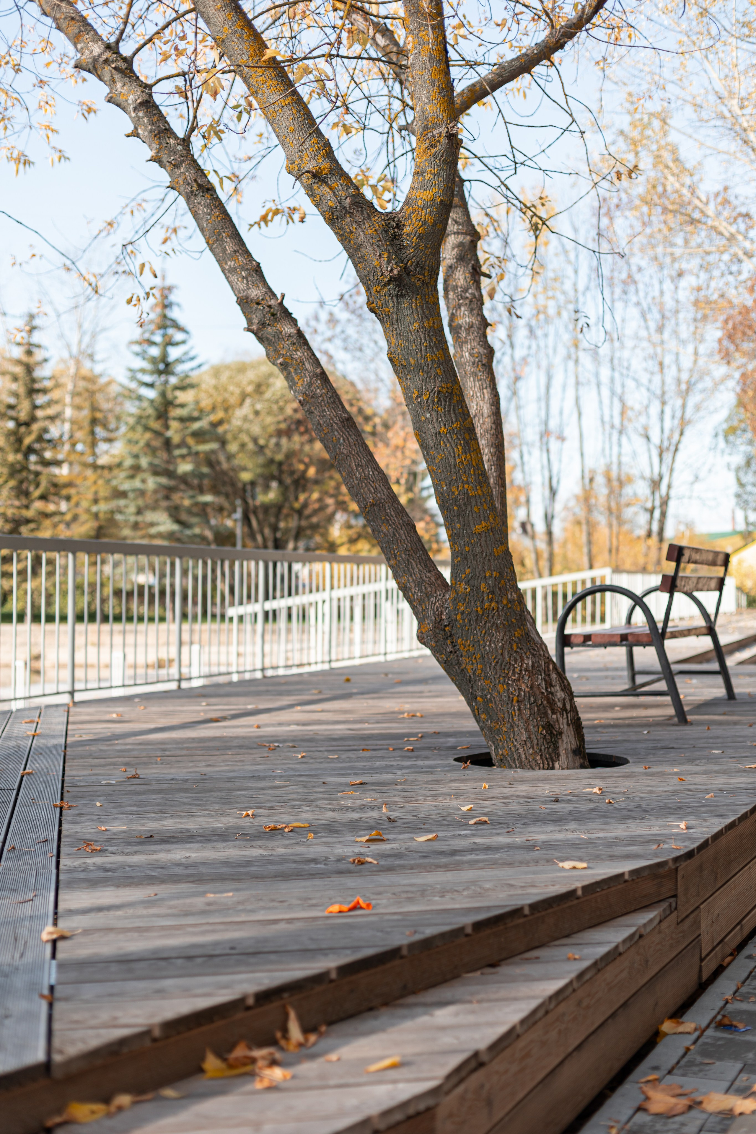 Общественные пространства. Наталья Летунова — интерьерный фотограф в Иванове