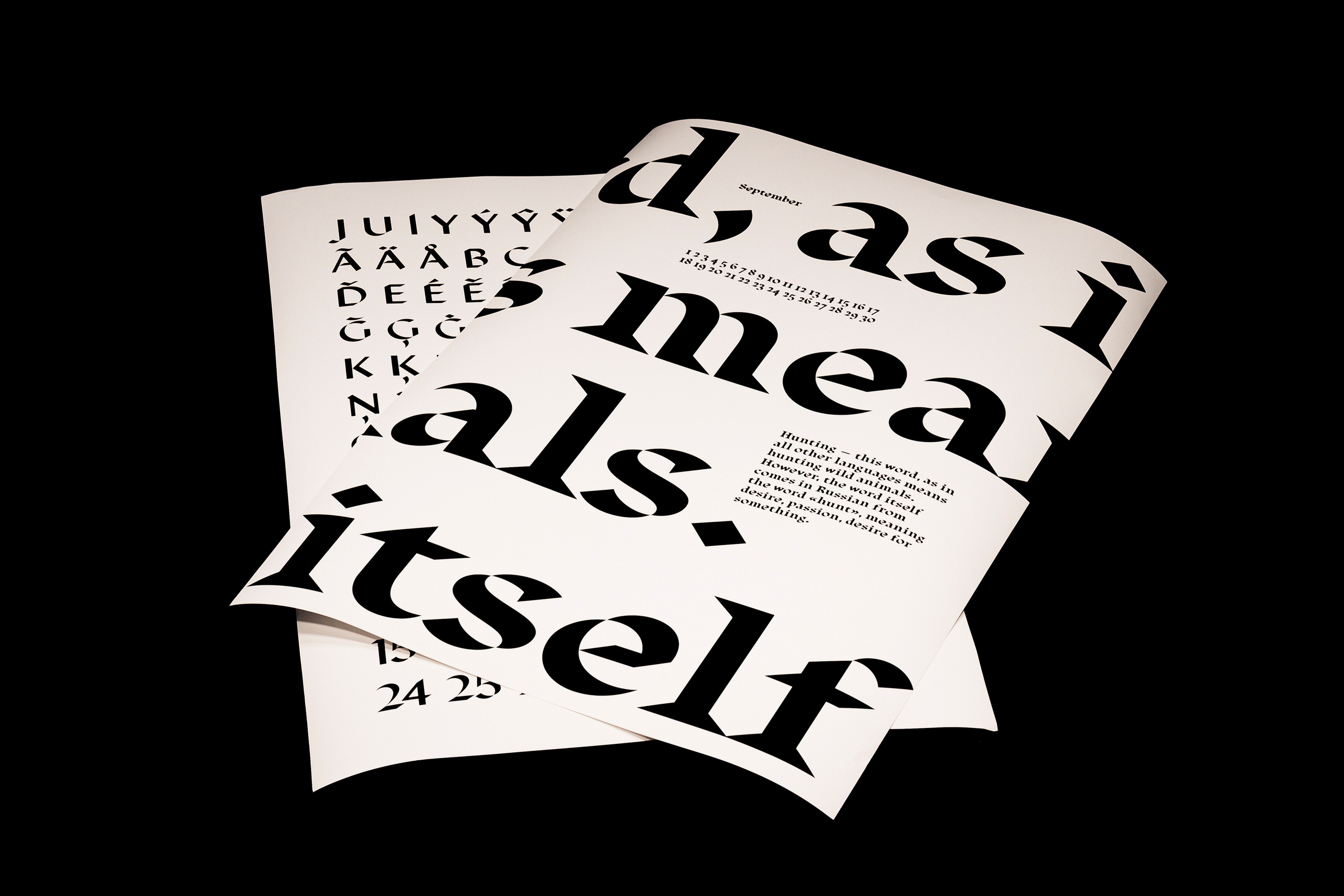 Интерьерные съемки. DIESPERADOSS photo