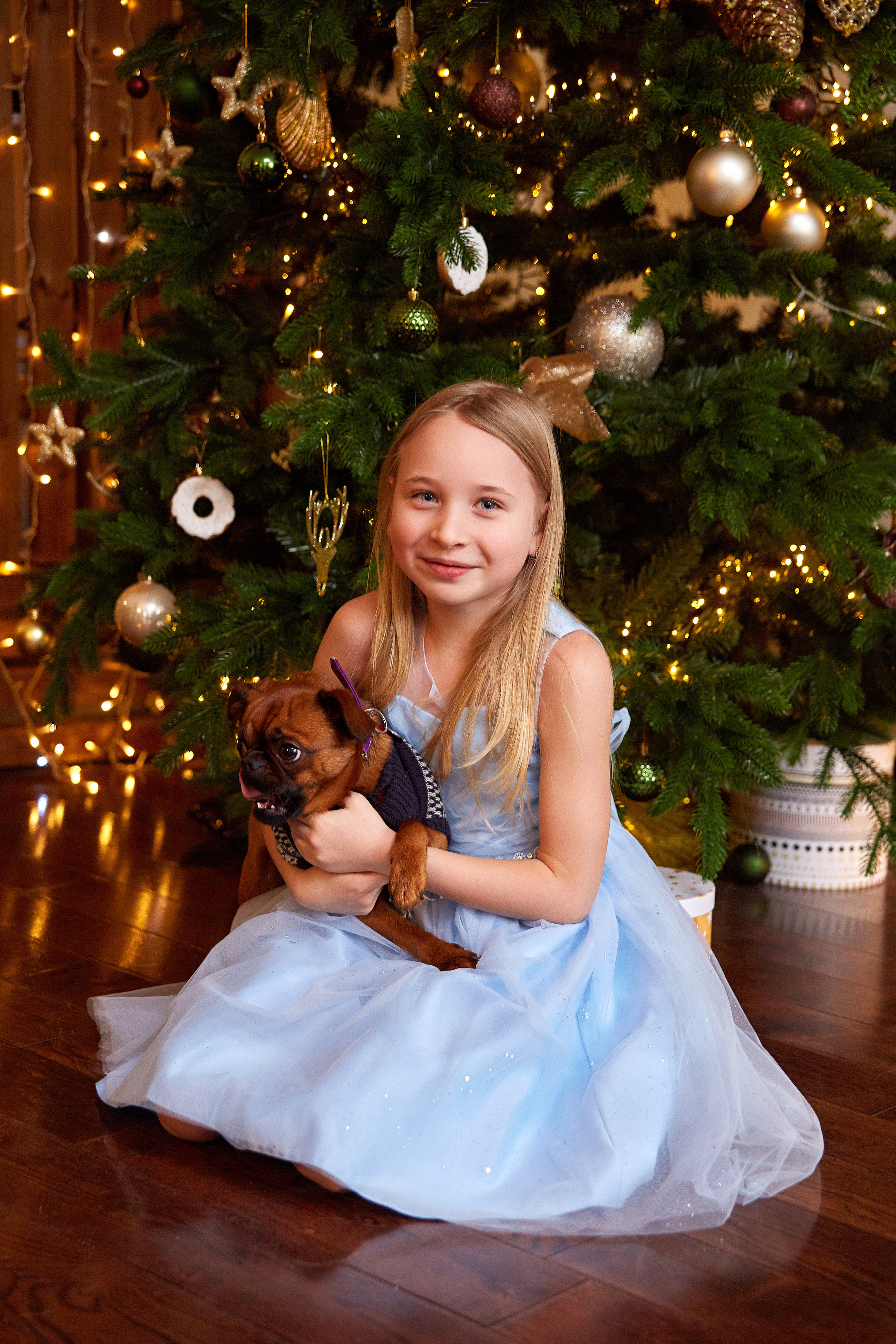 Новогодние. Свадебный и портретный фотограф Roxana Imp Тверь Москва