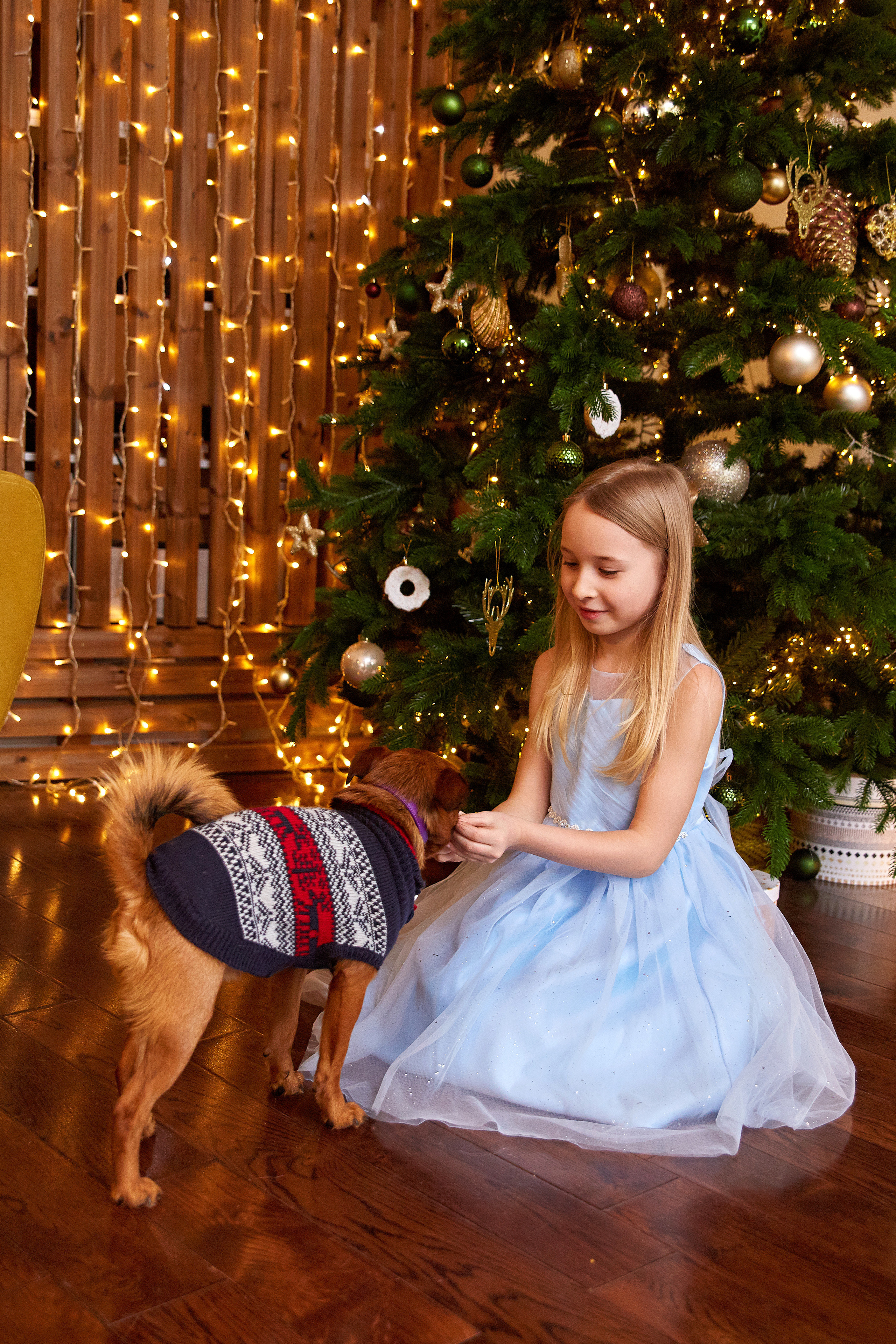 Новогодние. Свадебный и портретный фотограф Roxana Imp Тверь Москва