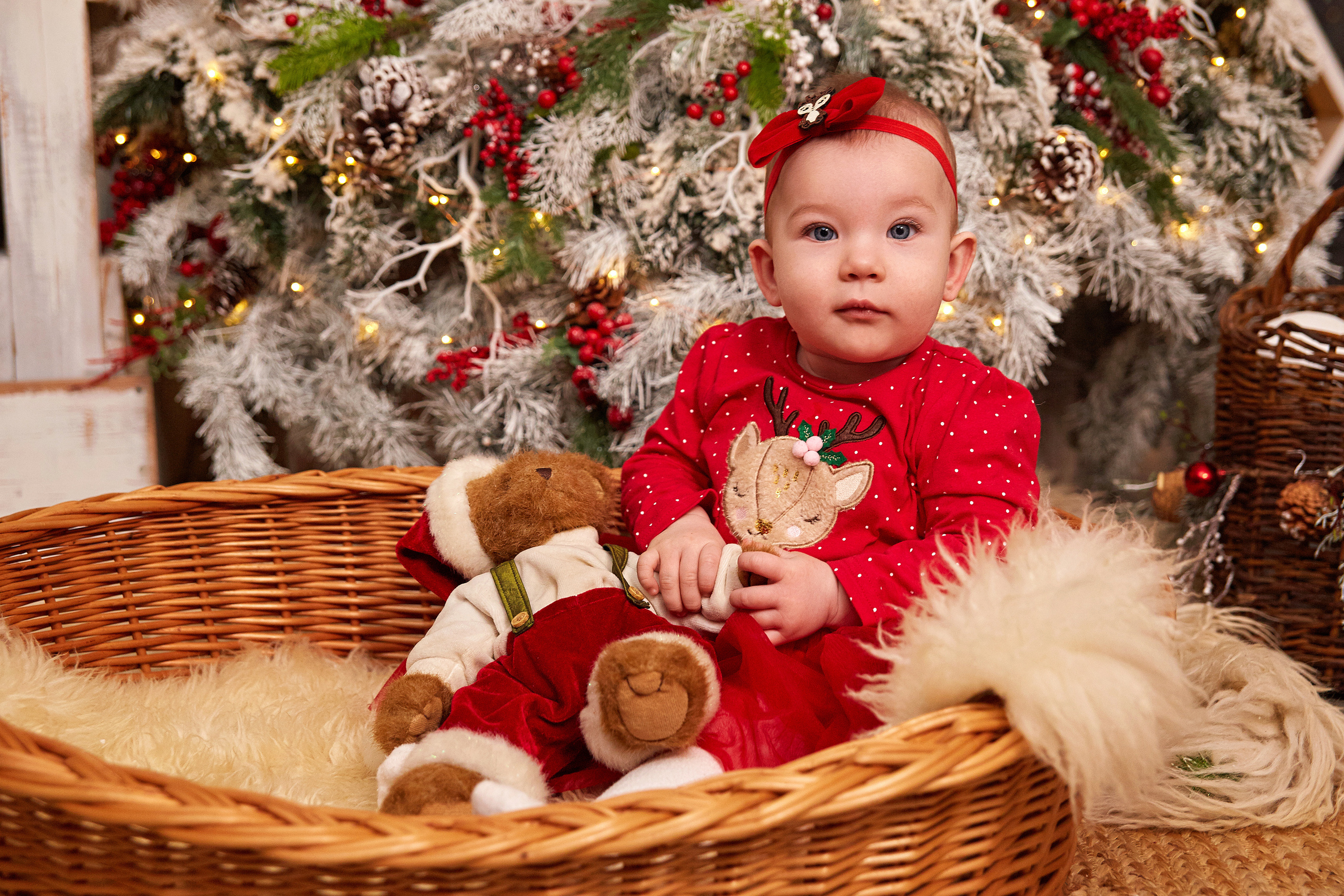 Новогодние. Свадебный и портретный фотограф Roxana Imp Тверь Москва