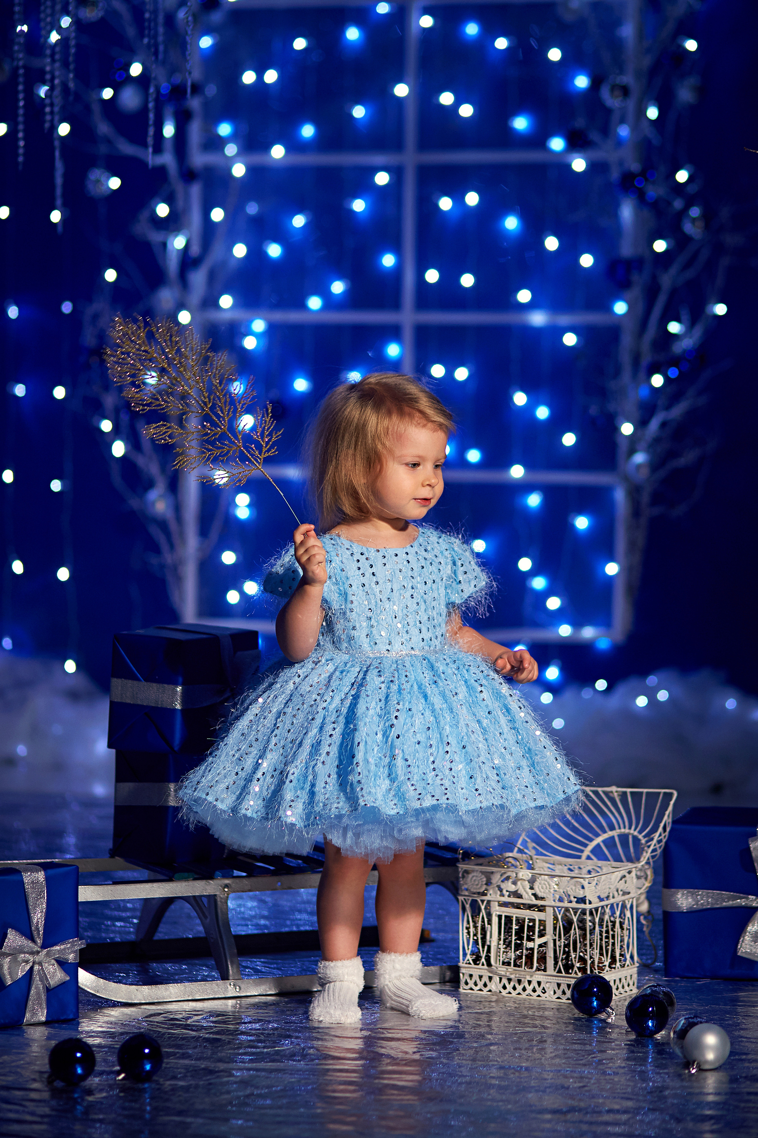 Новогодние. Свадебный и портретный фотограф Roxana Imp Тверь Москва