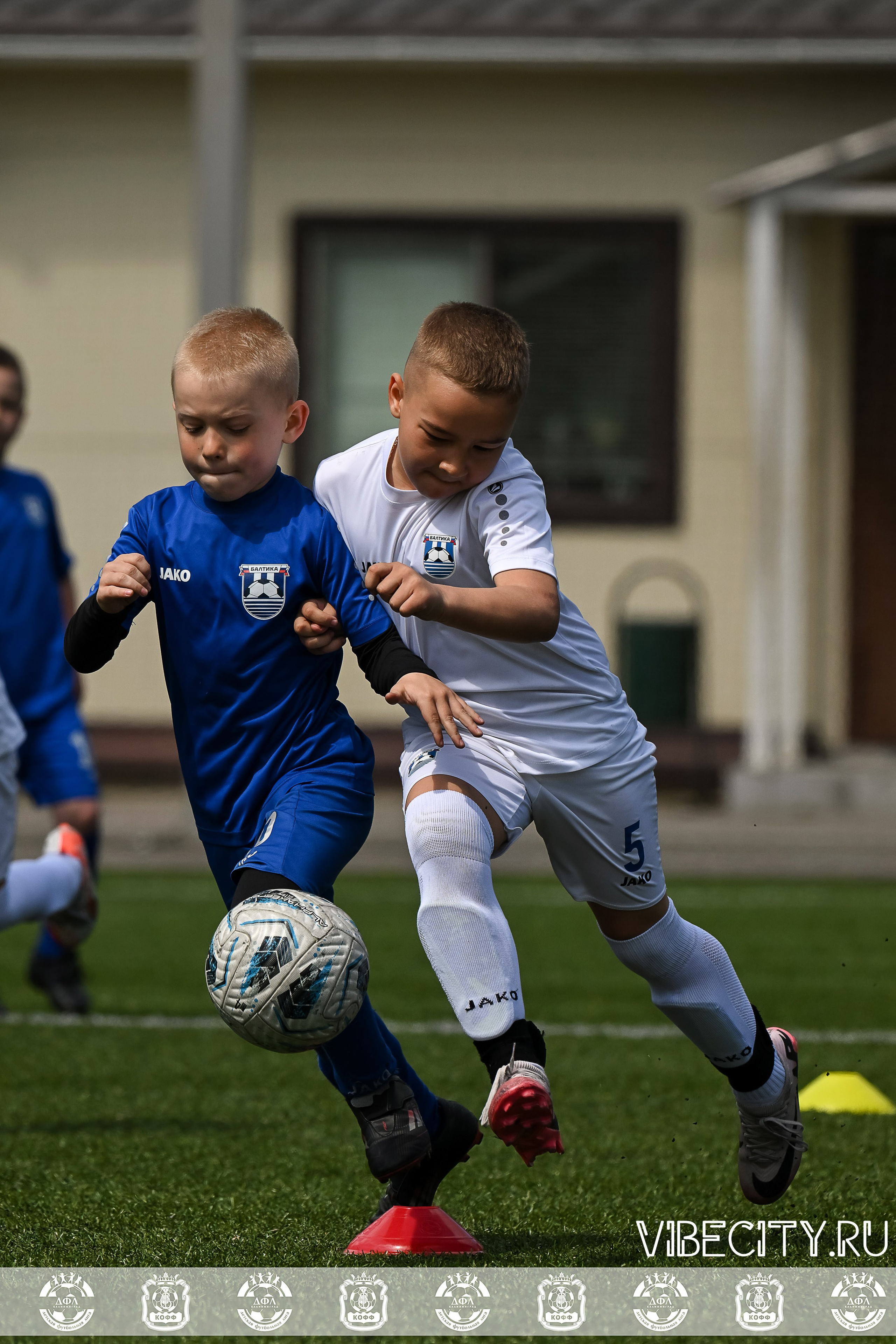 Большие Звезды светят Малым. VIBECITY.RU Вайб Сити Ру Фоторепортажи Фотоотчеты Калининград