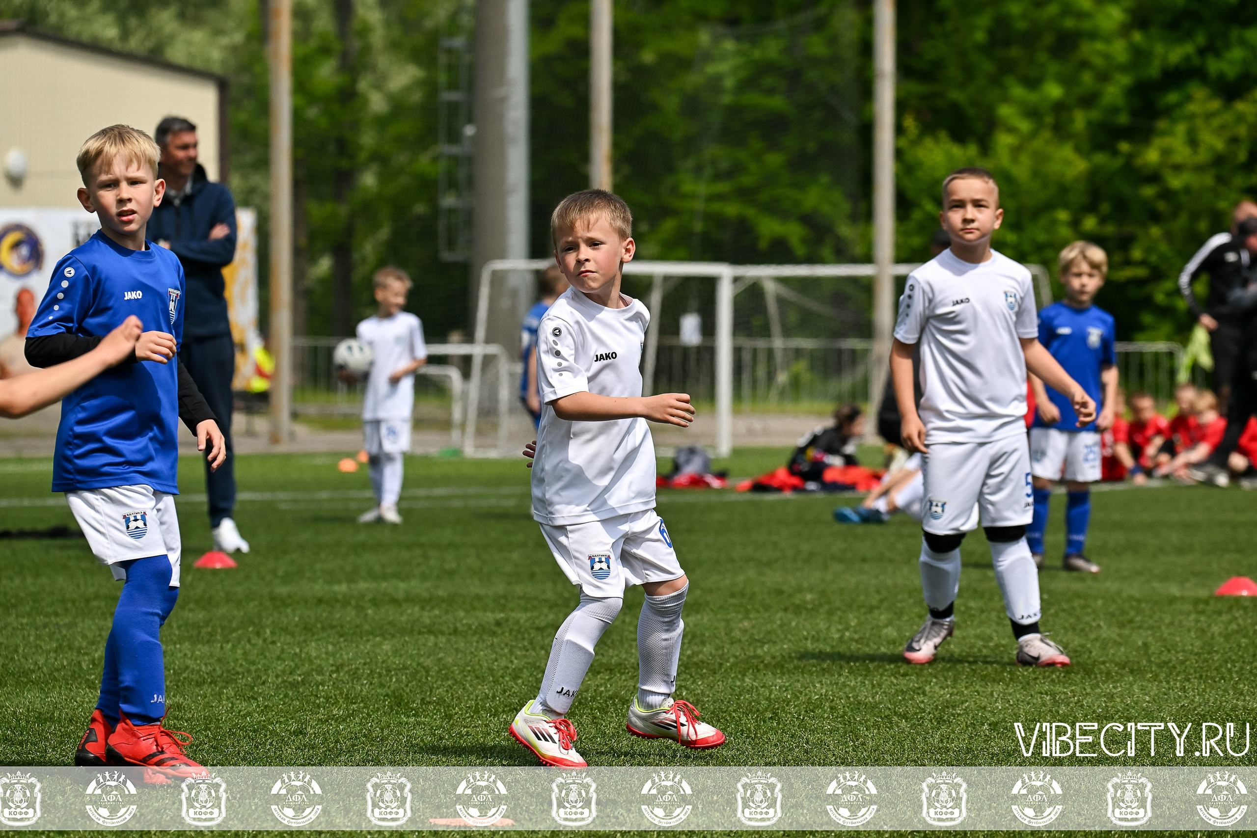 Большие Звезды светят Малым. VIBECITY.RU Вайб Сити Ру Фоторепортажи Фотоотчеты Калининград