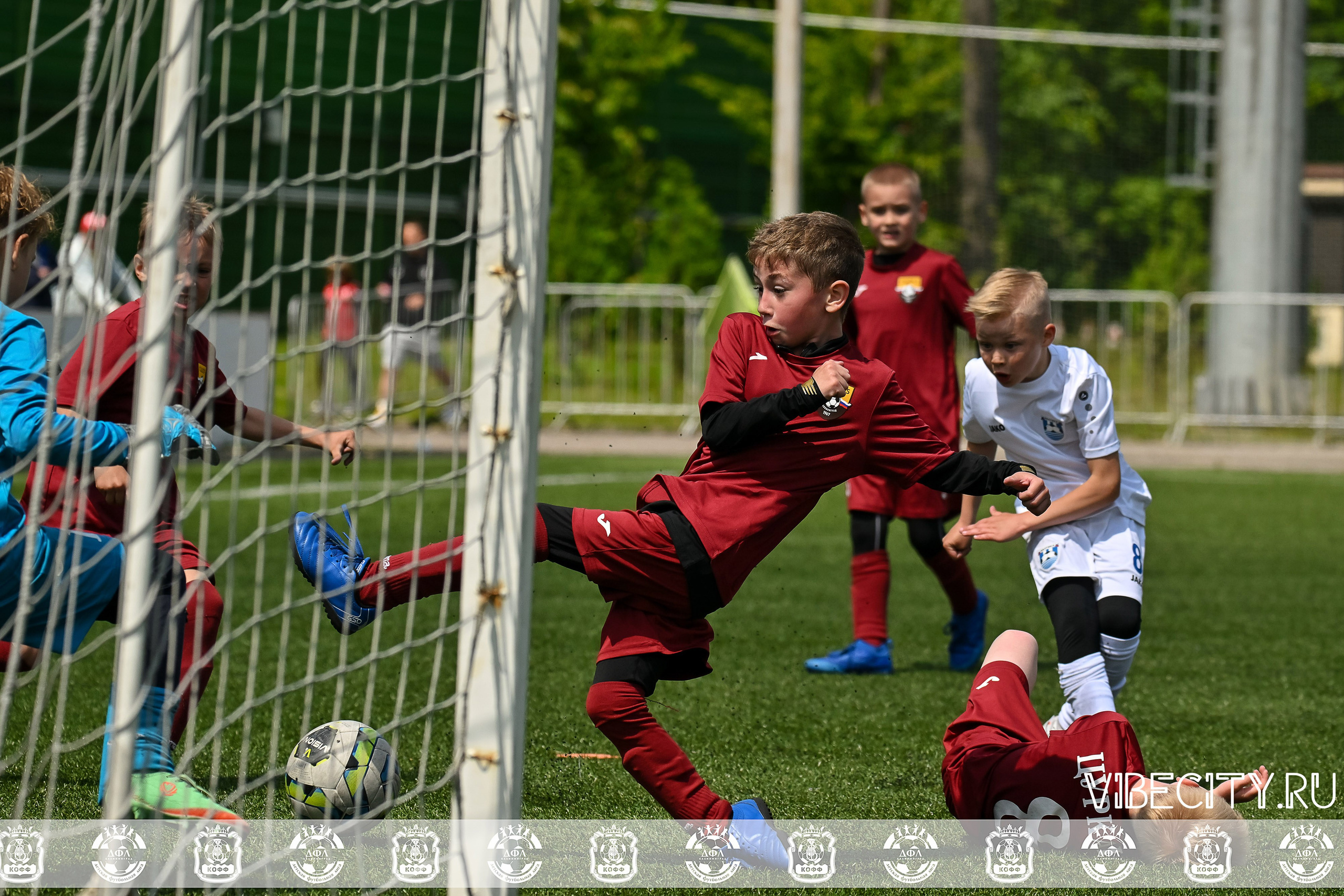 Большие Звезды светят Малым. VIBECITY.RU Вайб Сити Ру Фоторепортажи Фотоотчеты Калининград