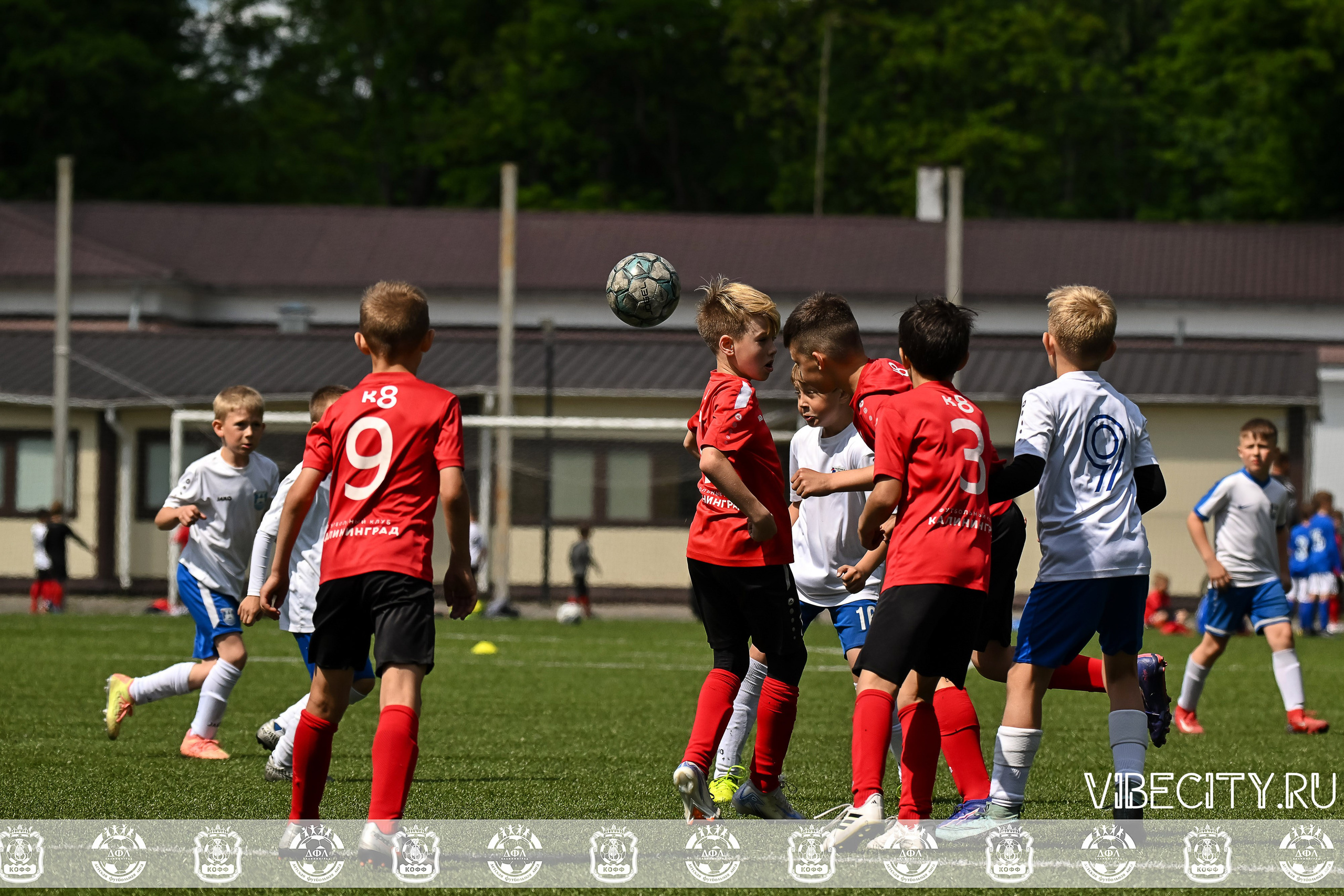 Большие Звезды светят Малым. VIBECITY.RU Вайб Сити Ру Фоторепортажи Фотоотчеты Калининград