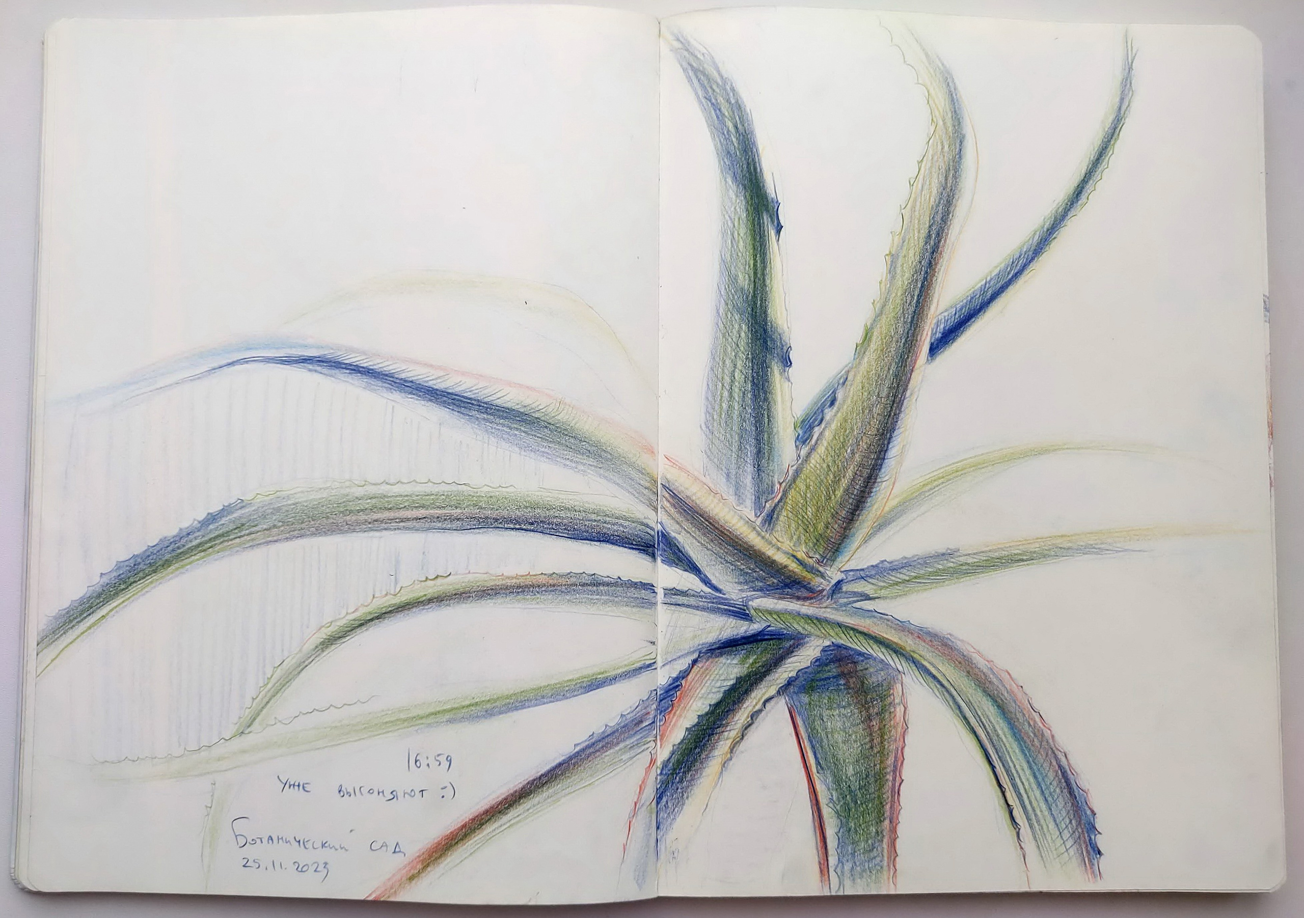 Quick Sketches. Alexander Manaenkov | Watercolor Artist from Siberia