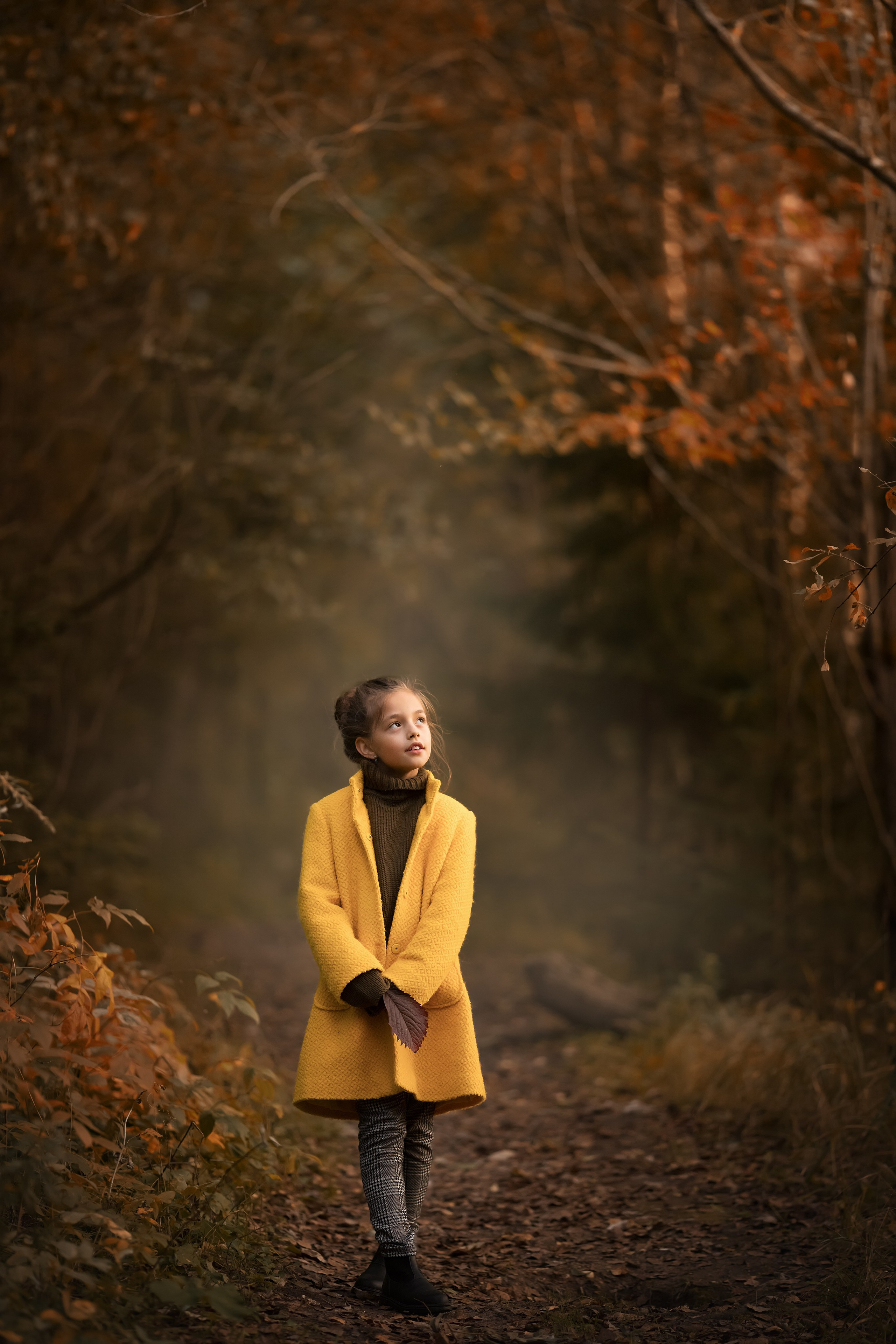 Сказочная осень. Главная