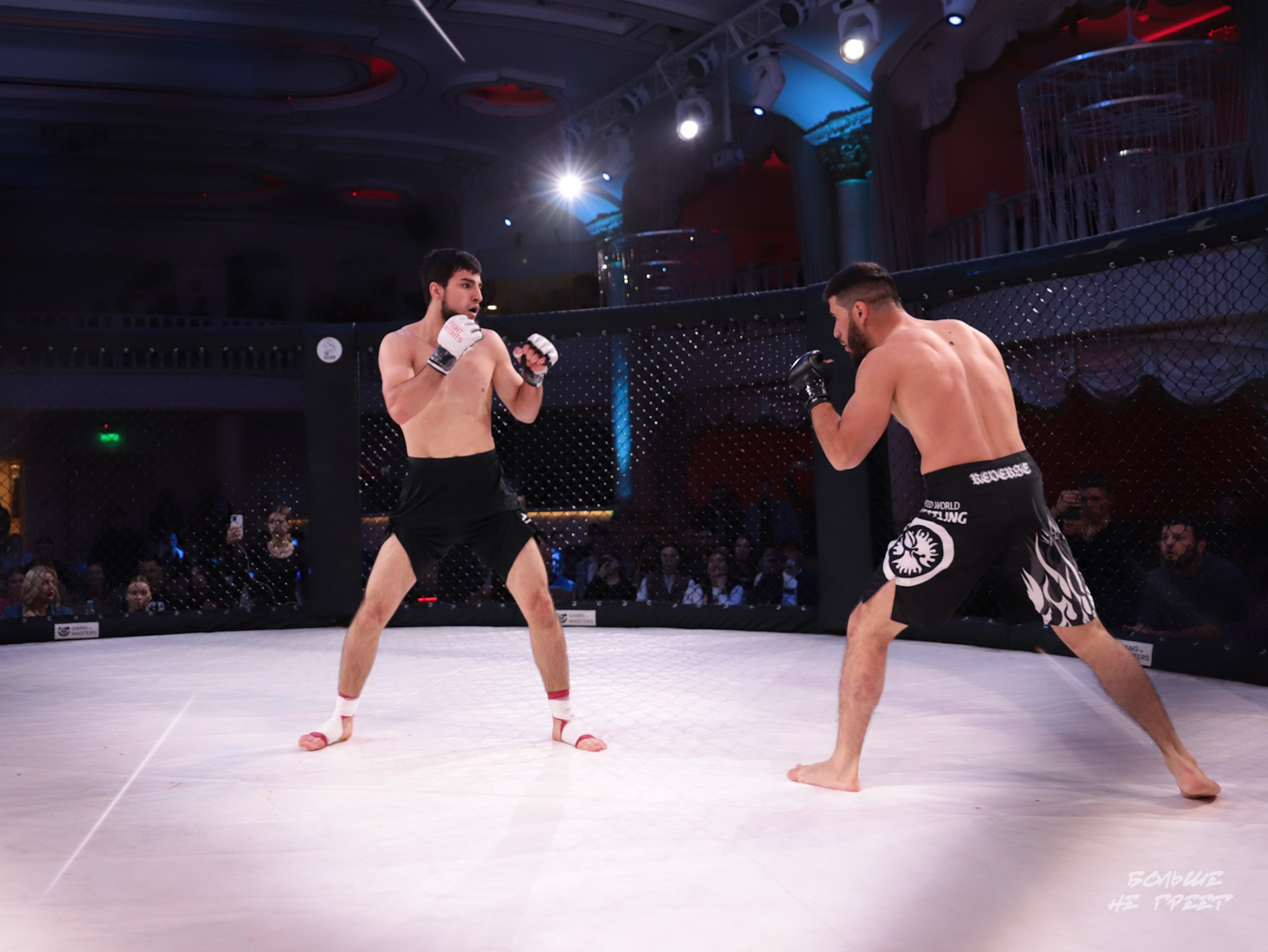 SABR FIGHTING. Больше не греет