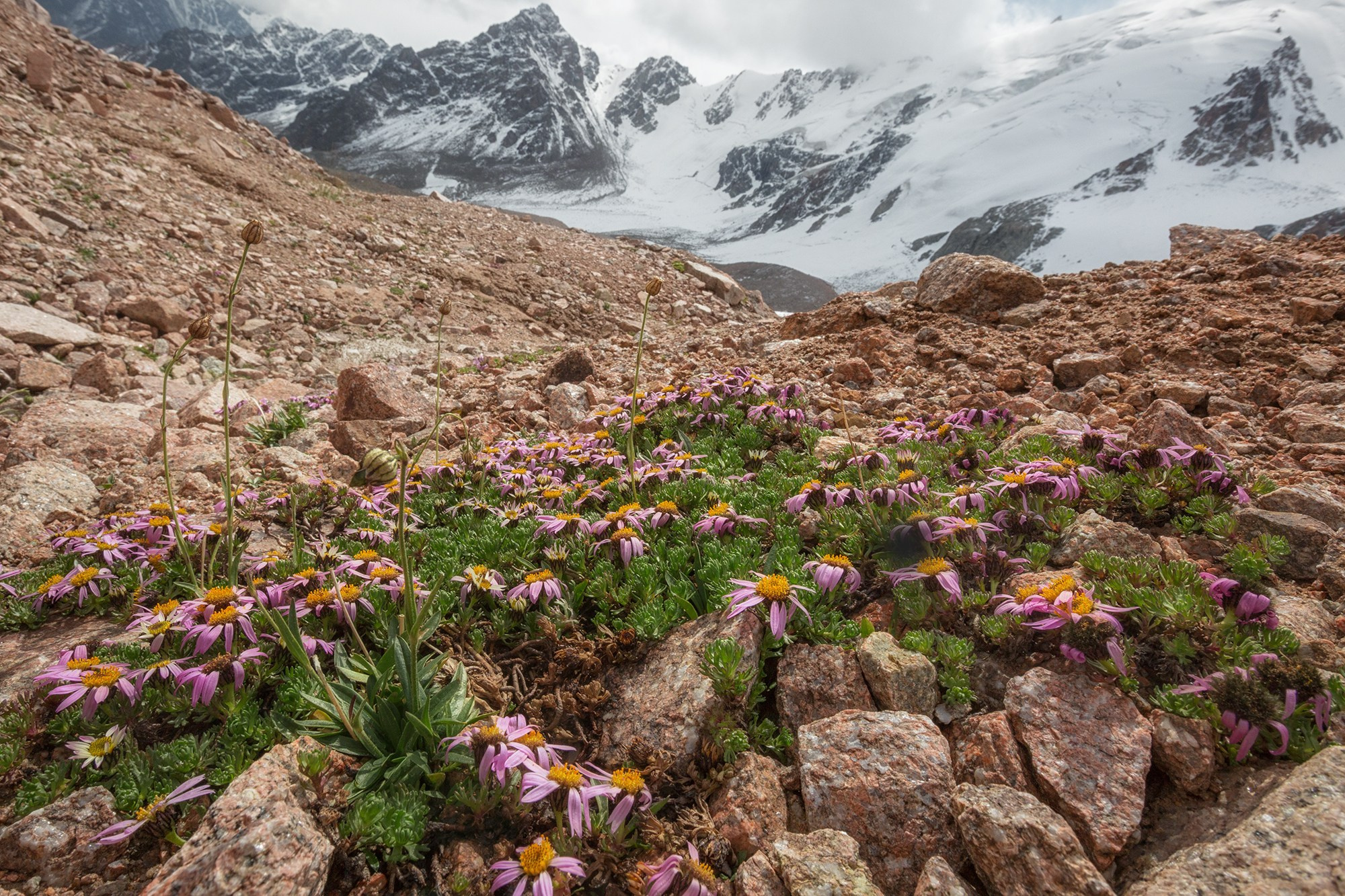 ЗАИЛИЙСКИЙ АЛАТАУ. КАЗАХСТАН. Фототуры и обучение пейзажной фотографии