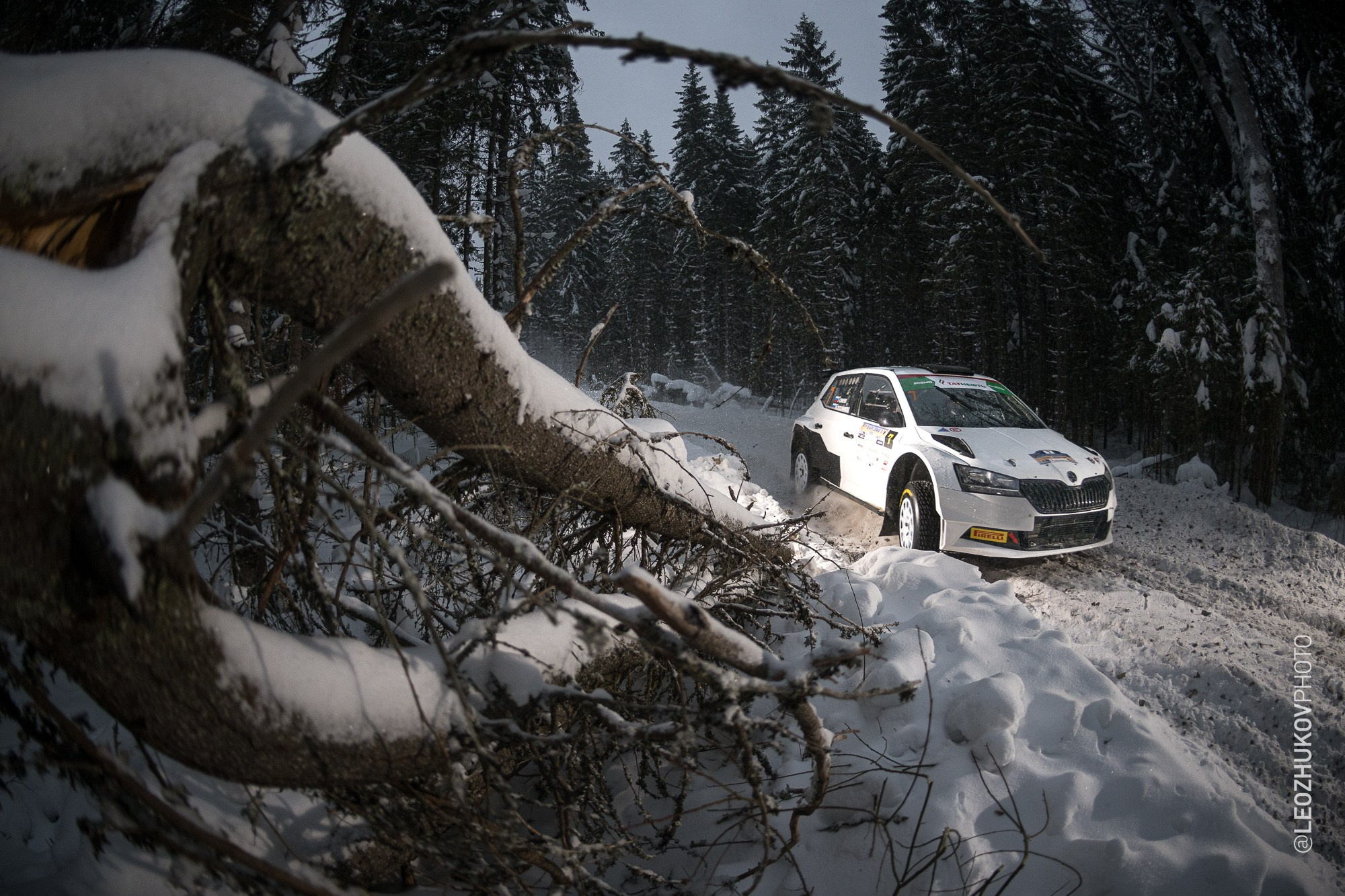 Rally Karelia 2026. Sports photographer Leonid Zhukov