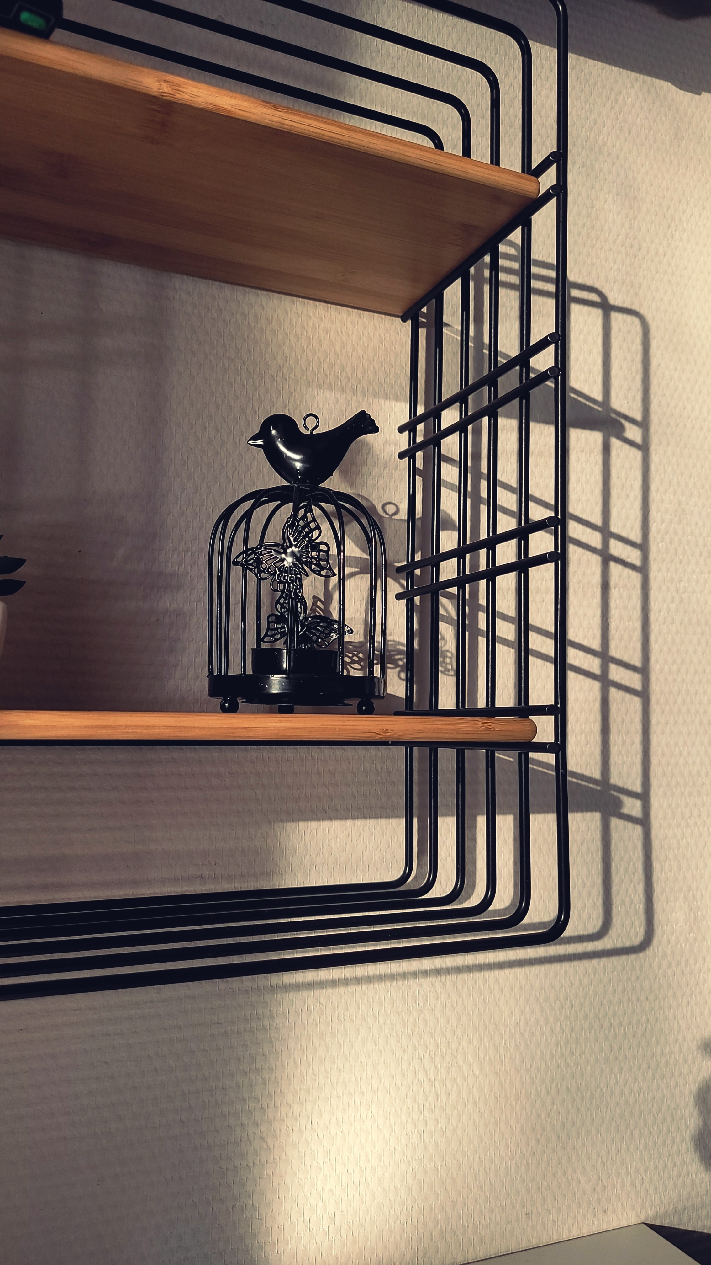 Предметная съемка. Игорь Урывский. Фотограф Красноярск