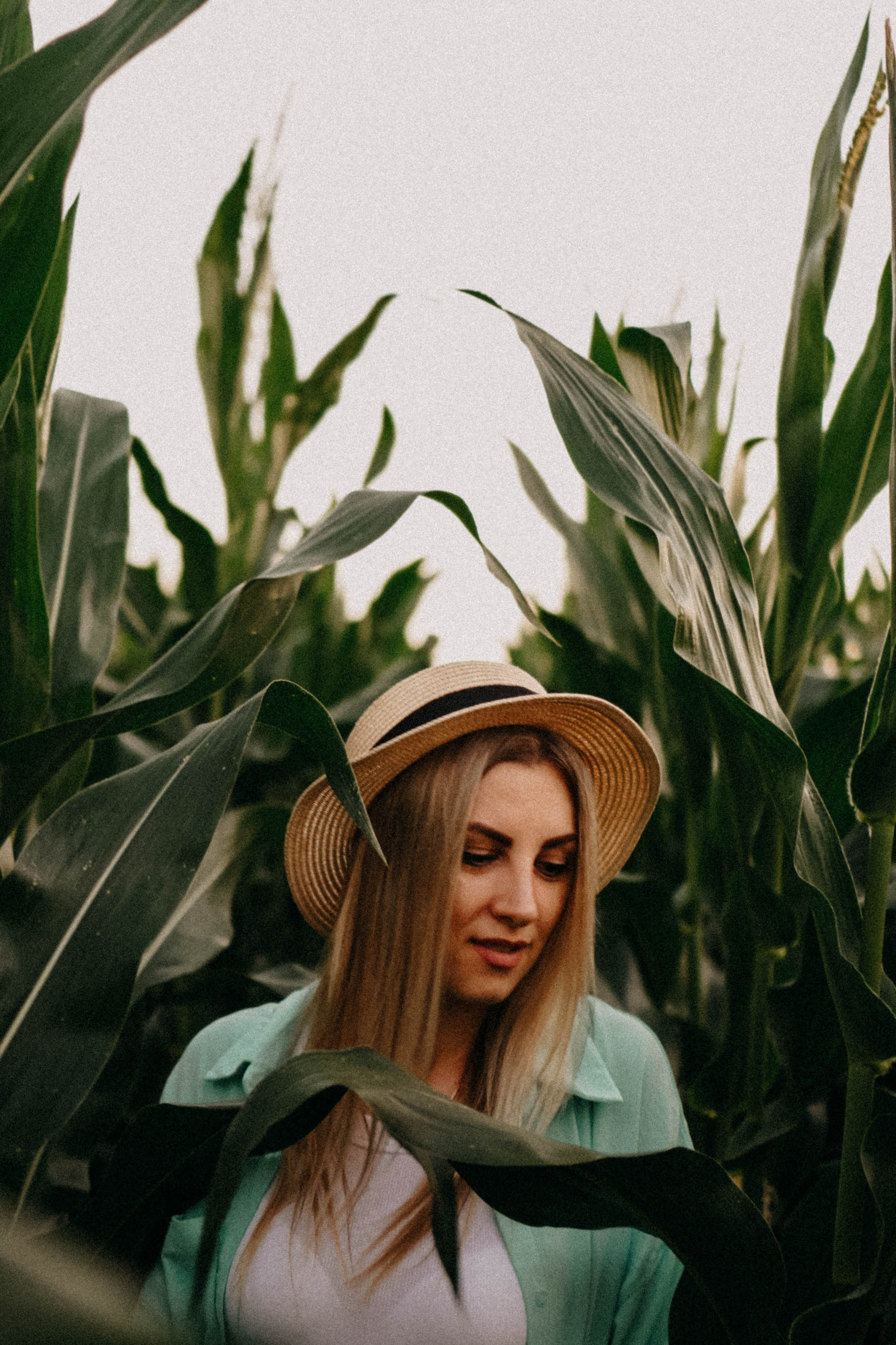 Летний вечер. Профессиональный фотограф, Санкт-Петербург — Виктория Богомолова